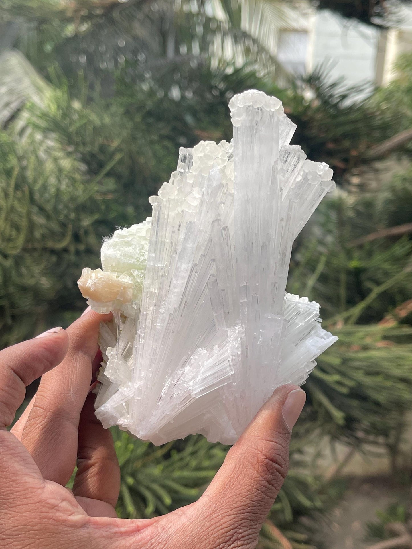 Combination of calcite/stilbite/green apophyllite on scolecite crystal