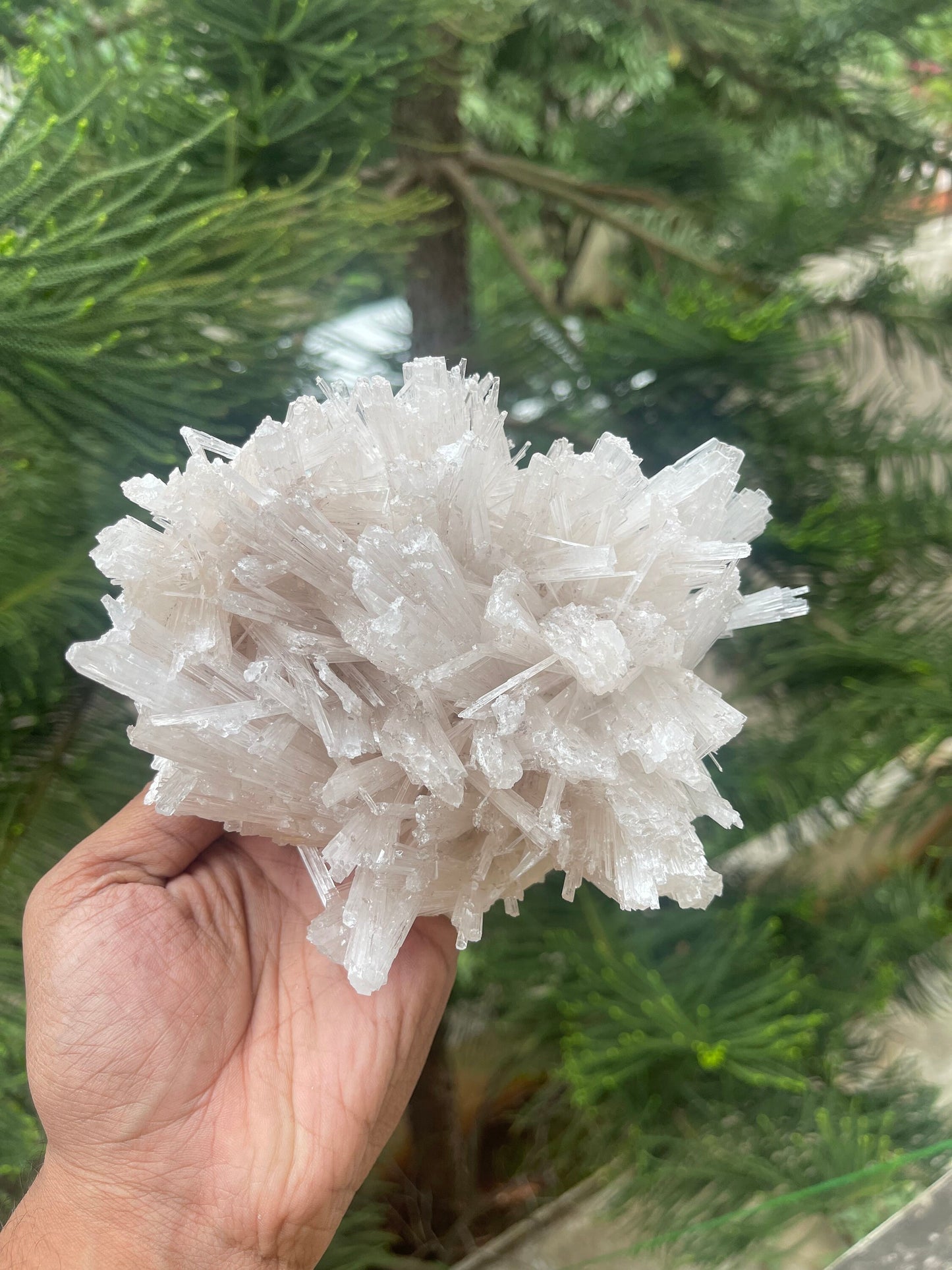 Scolecite flower