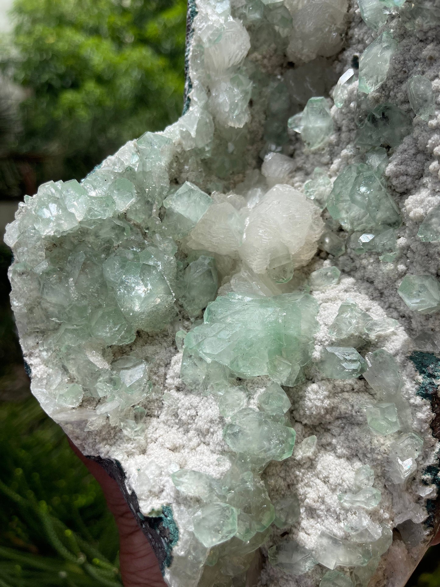 Green apophyllite crystal on white chalcedony matrix