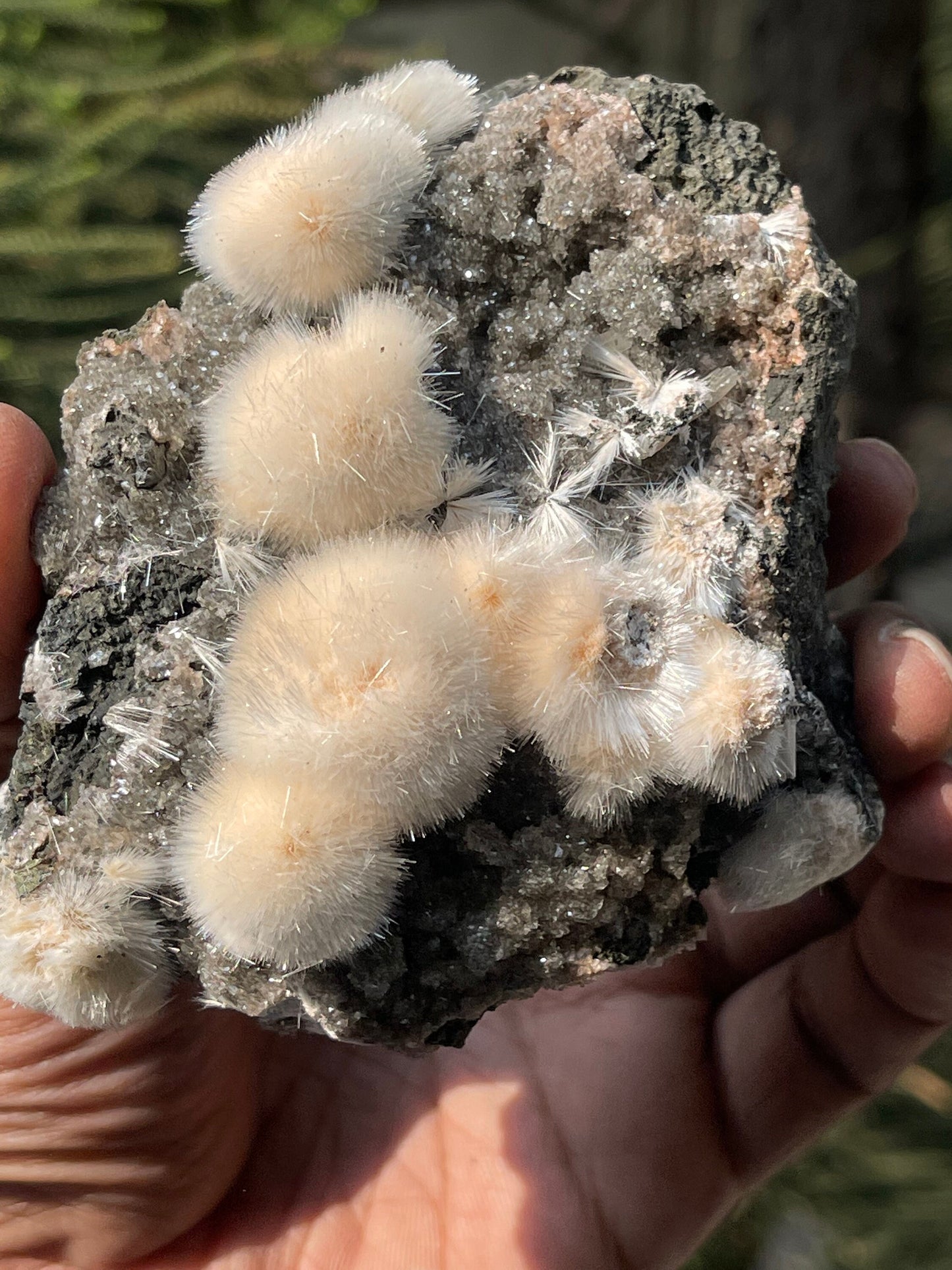 Natural orange mesolite balls on matrix new find