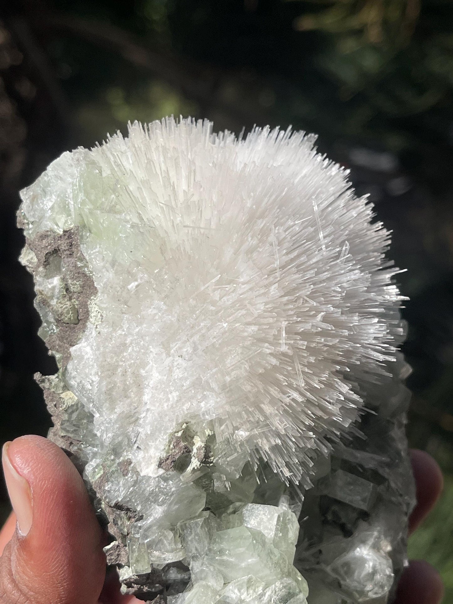 Mesolite flower on light green apophyllite