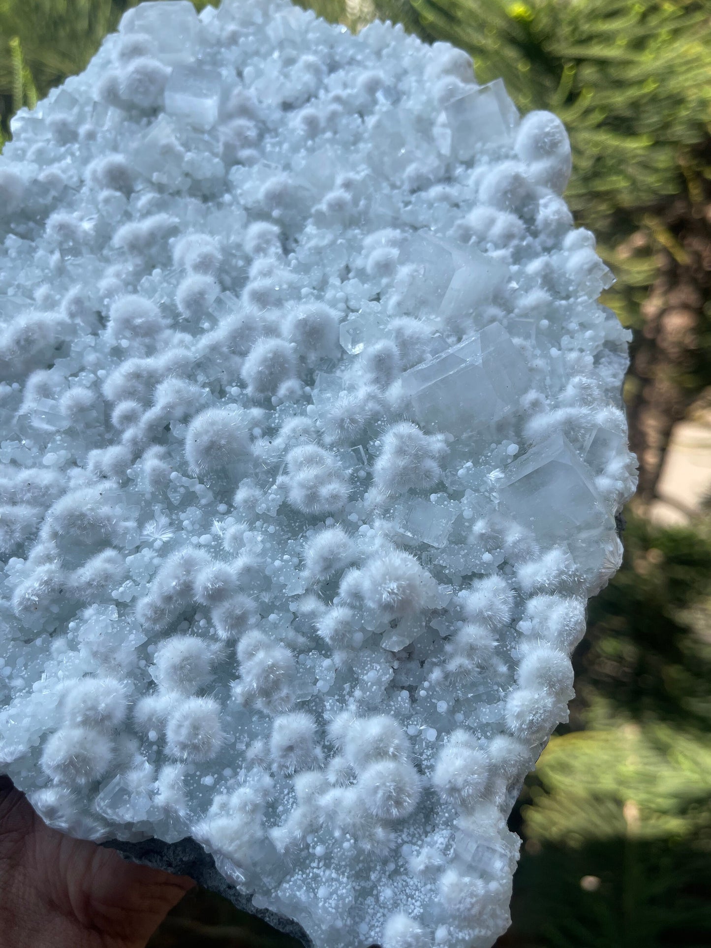 Multiple okenite balls with apophyllite crystal natural specimen