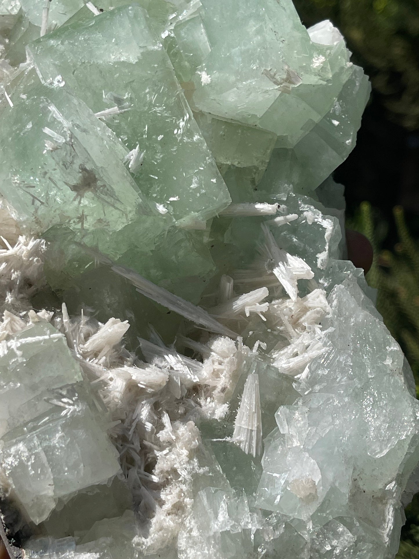 Green cubicle apophyllite with scolecite minerals specimen