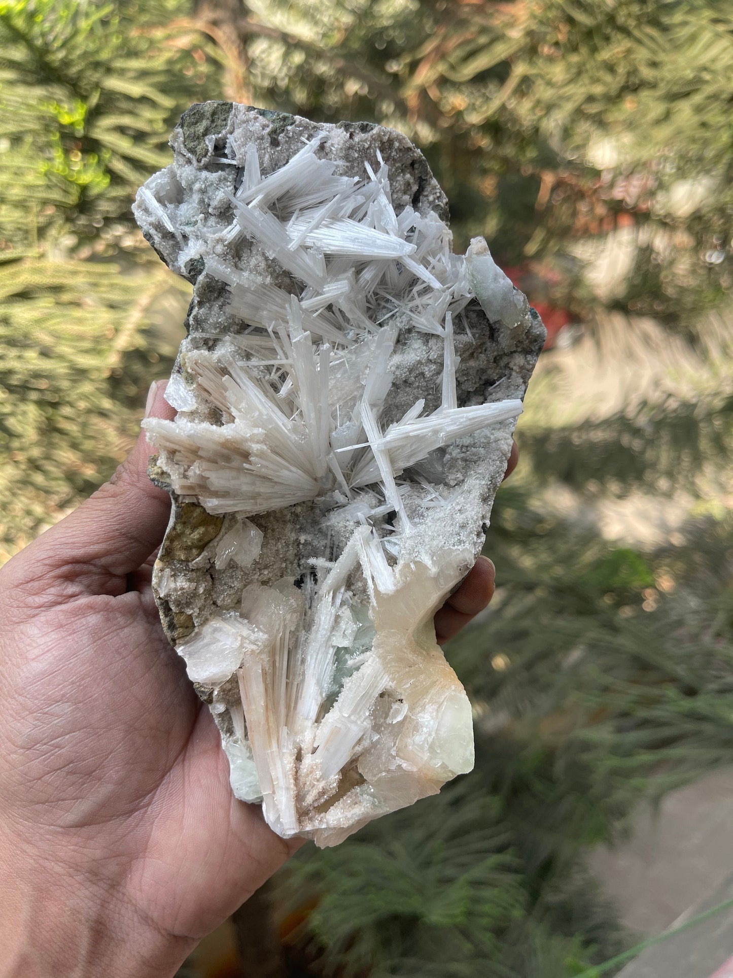 Shiney scolecite spray with stilbite/heulandite/green apophyllite