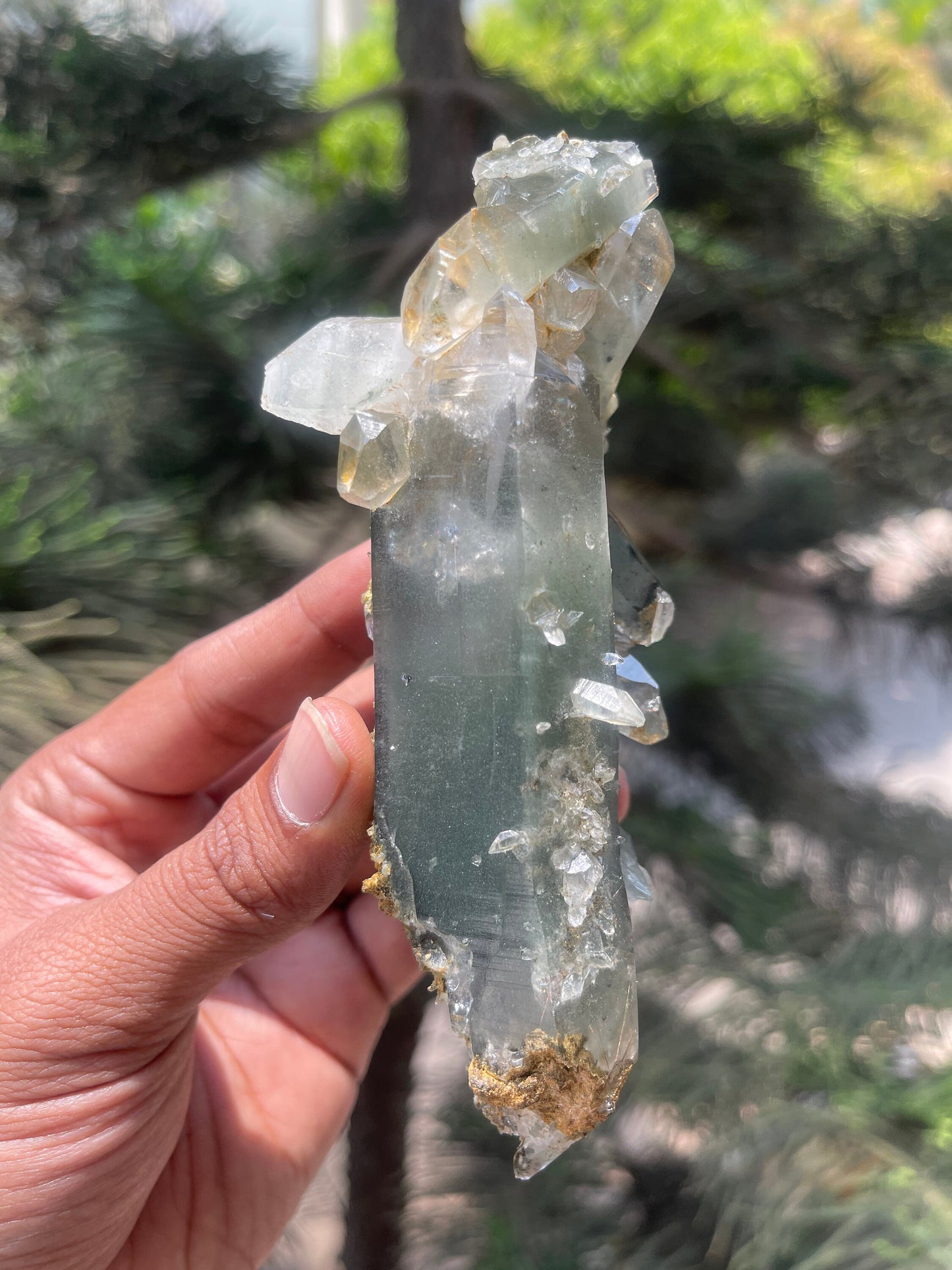 Himalayan quartz, double terminated crystal with chlorite