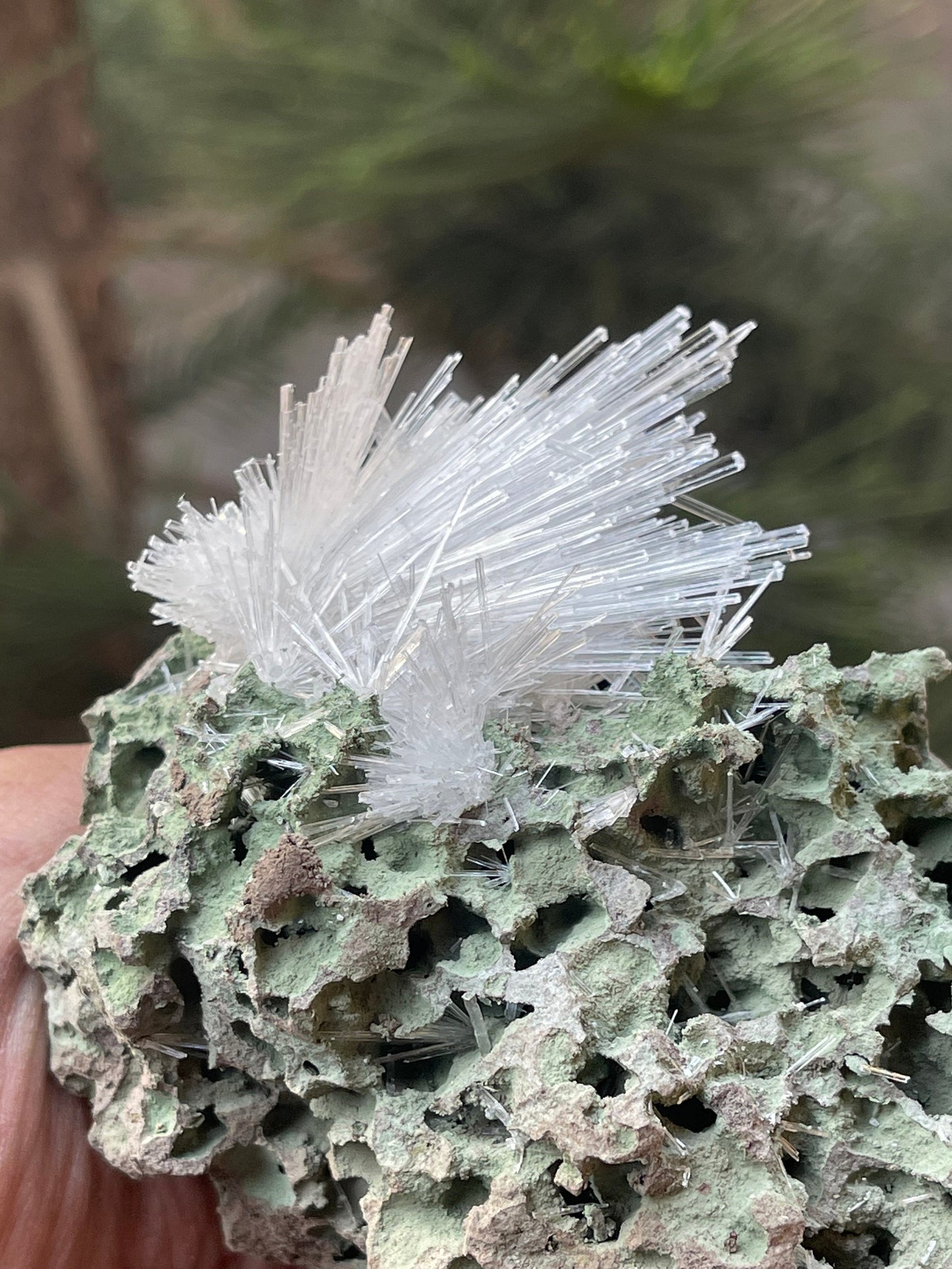 Scolecite Crystal on matrix