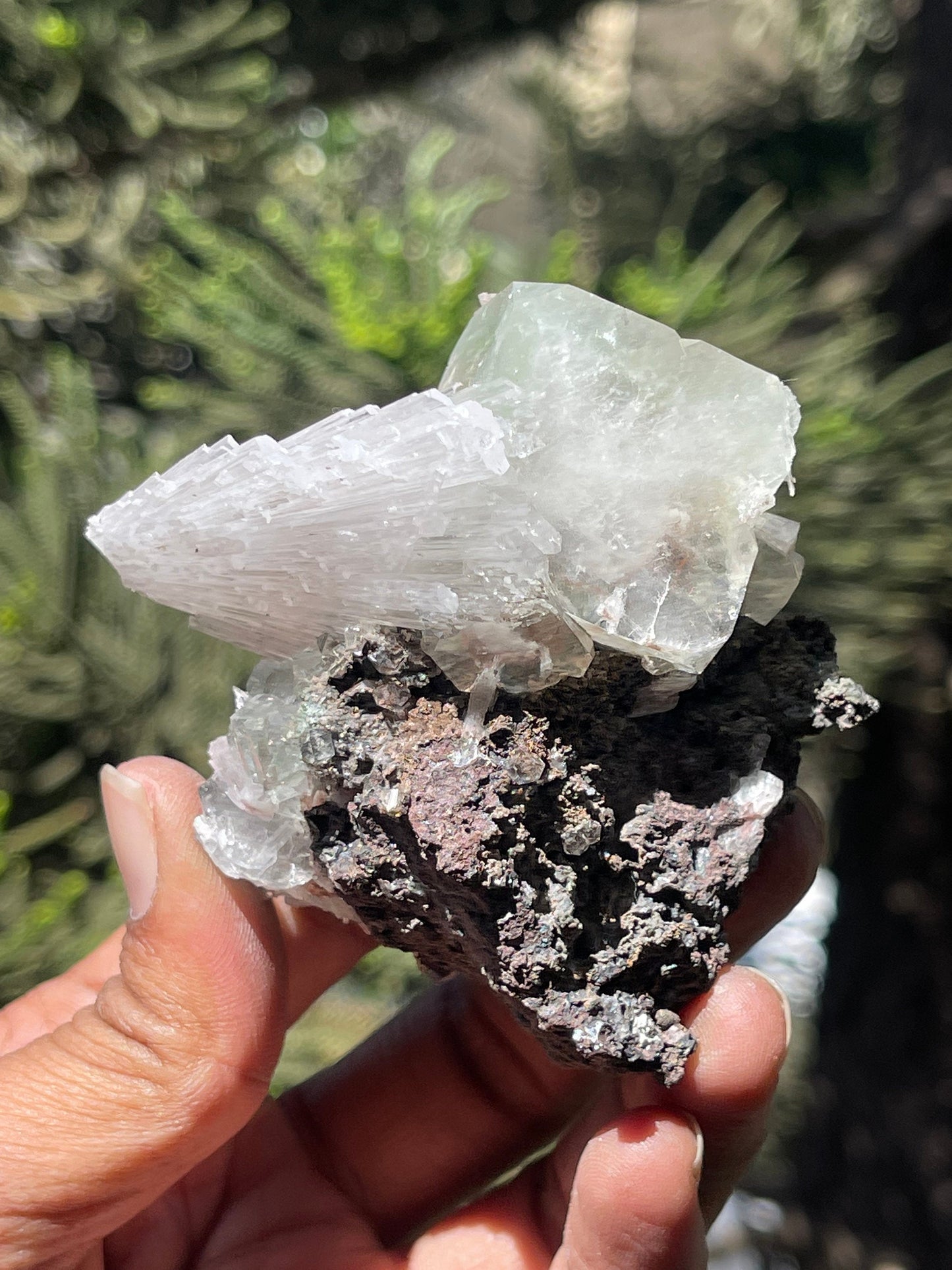 Green apophyllite cube with scolecite spray