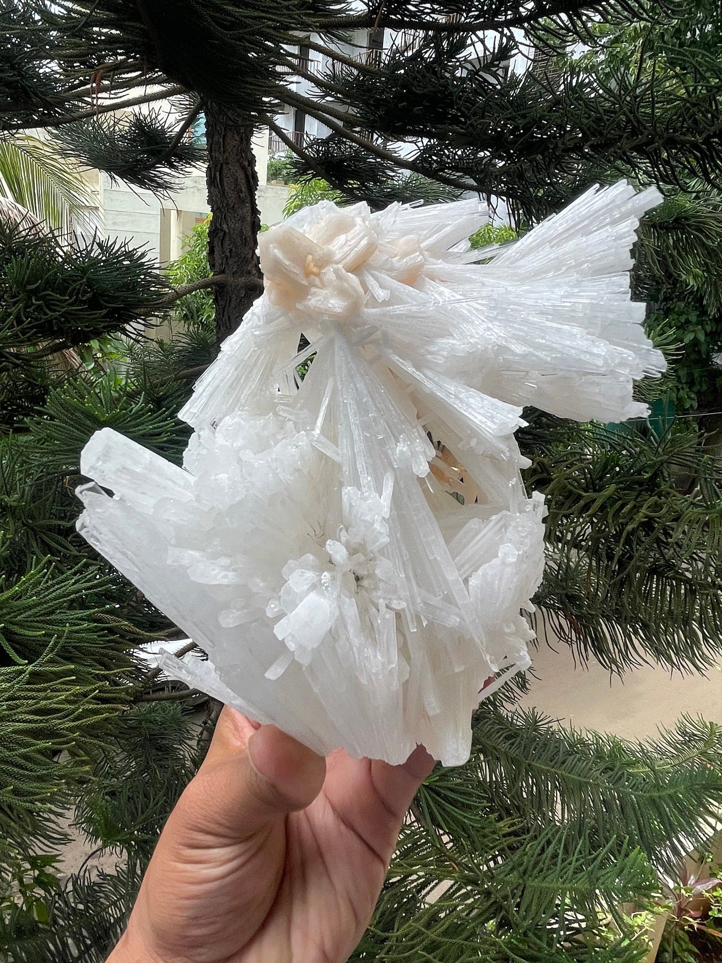 Scolecite spray with stilbite