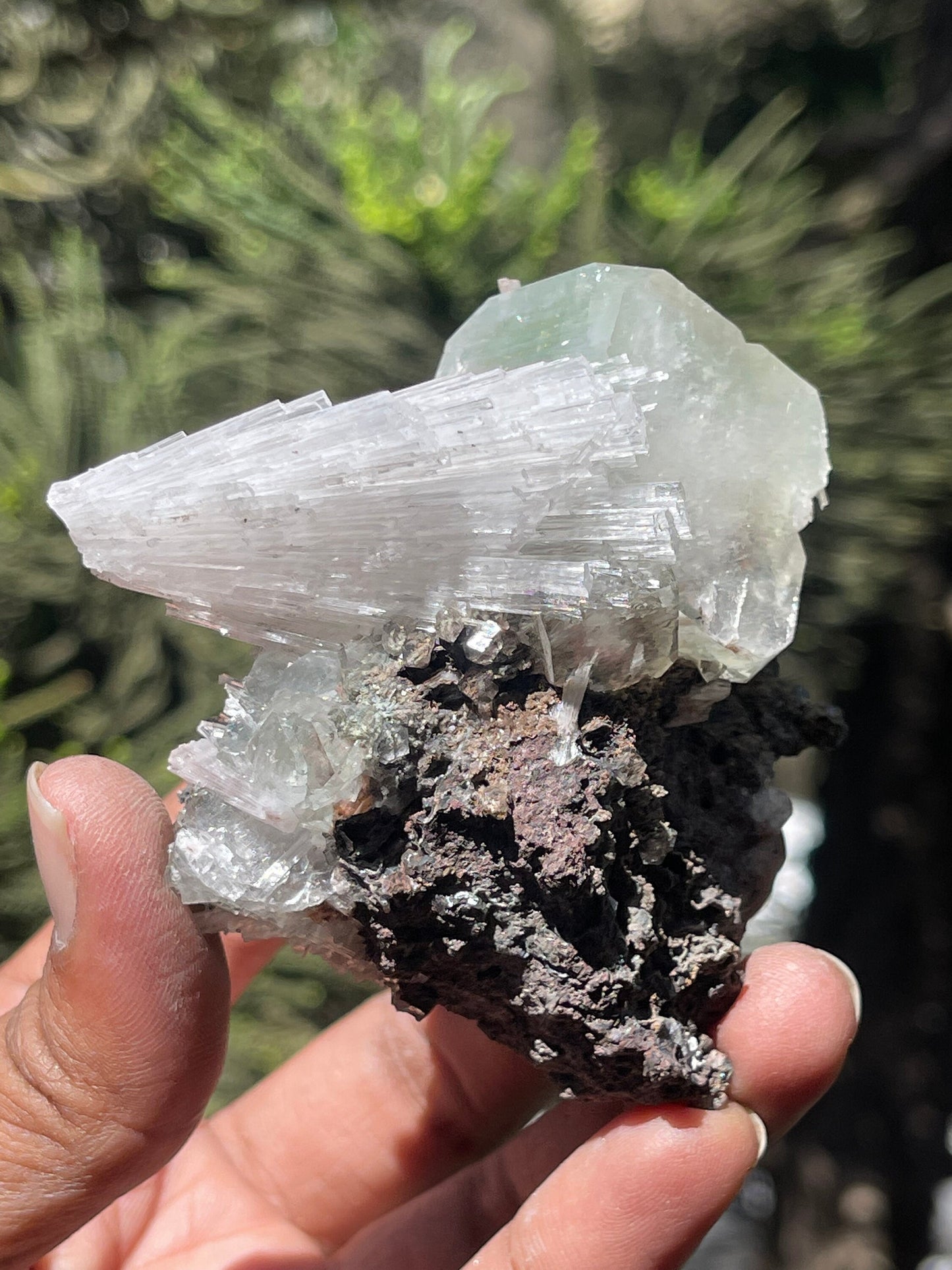 Green apophyllite cube with scolecite spray