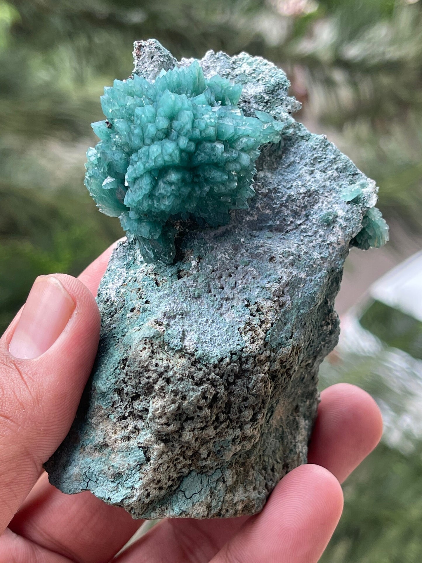 Amazing green apophyllite flowers on matrix