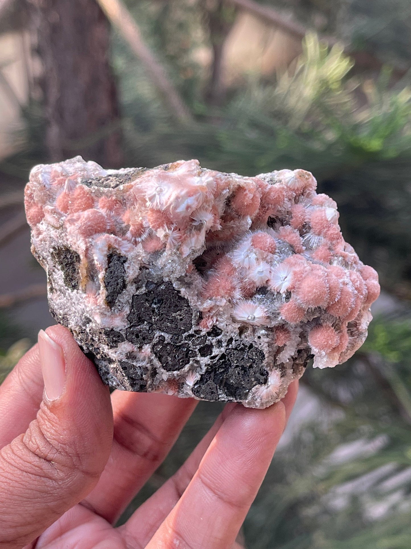 Multiple orange mesolite ball on matrix