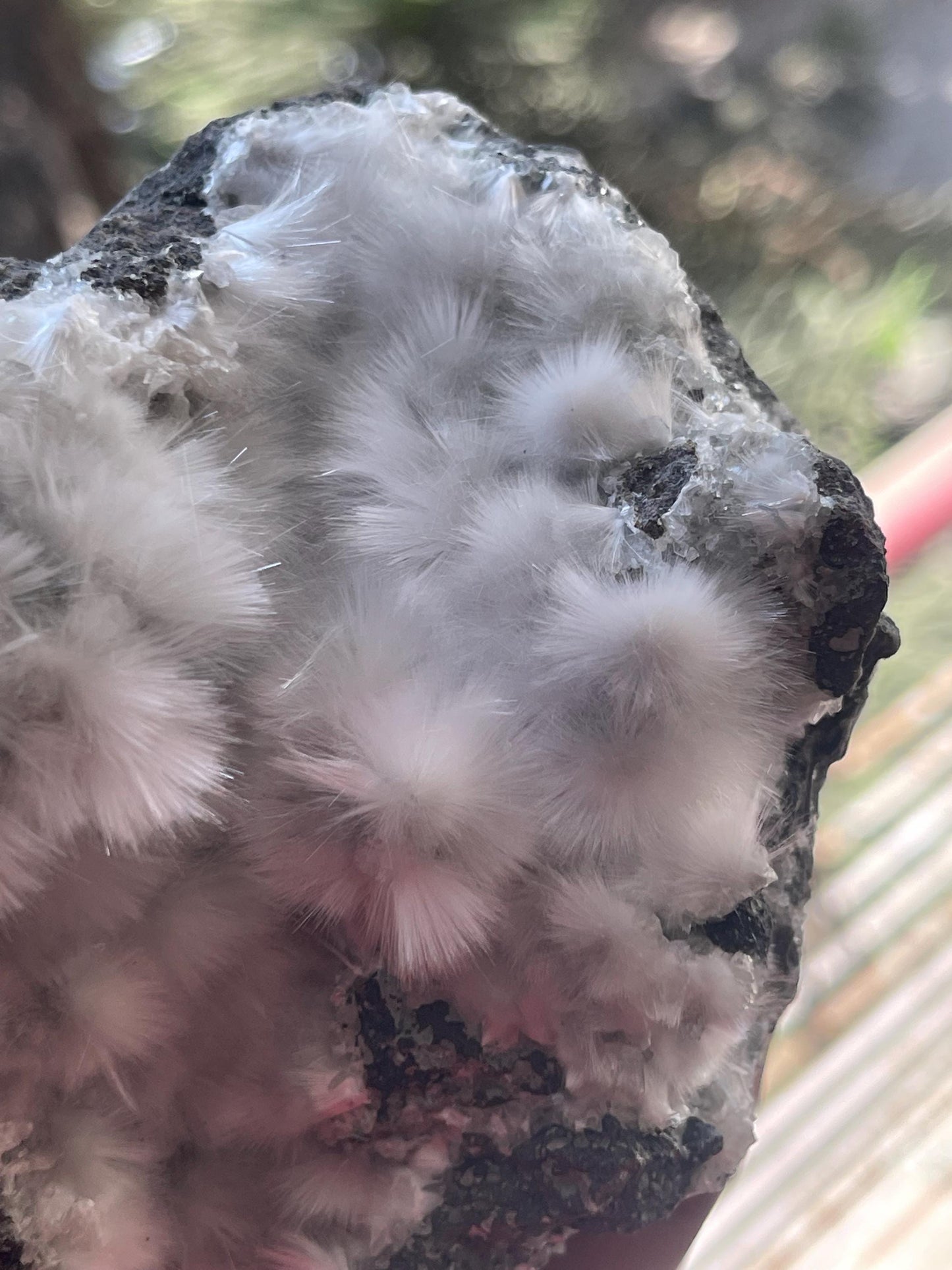 mesolite flowers on matrix new find