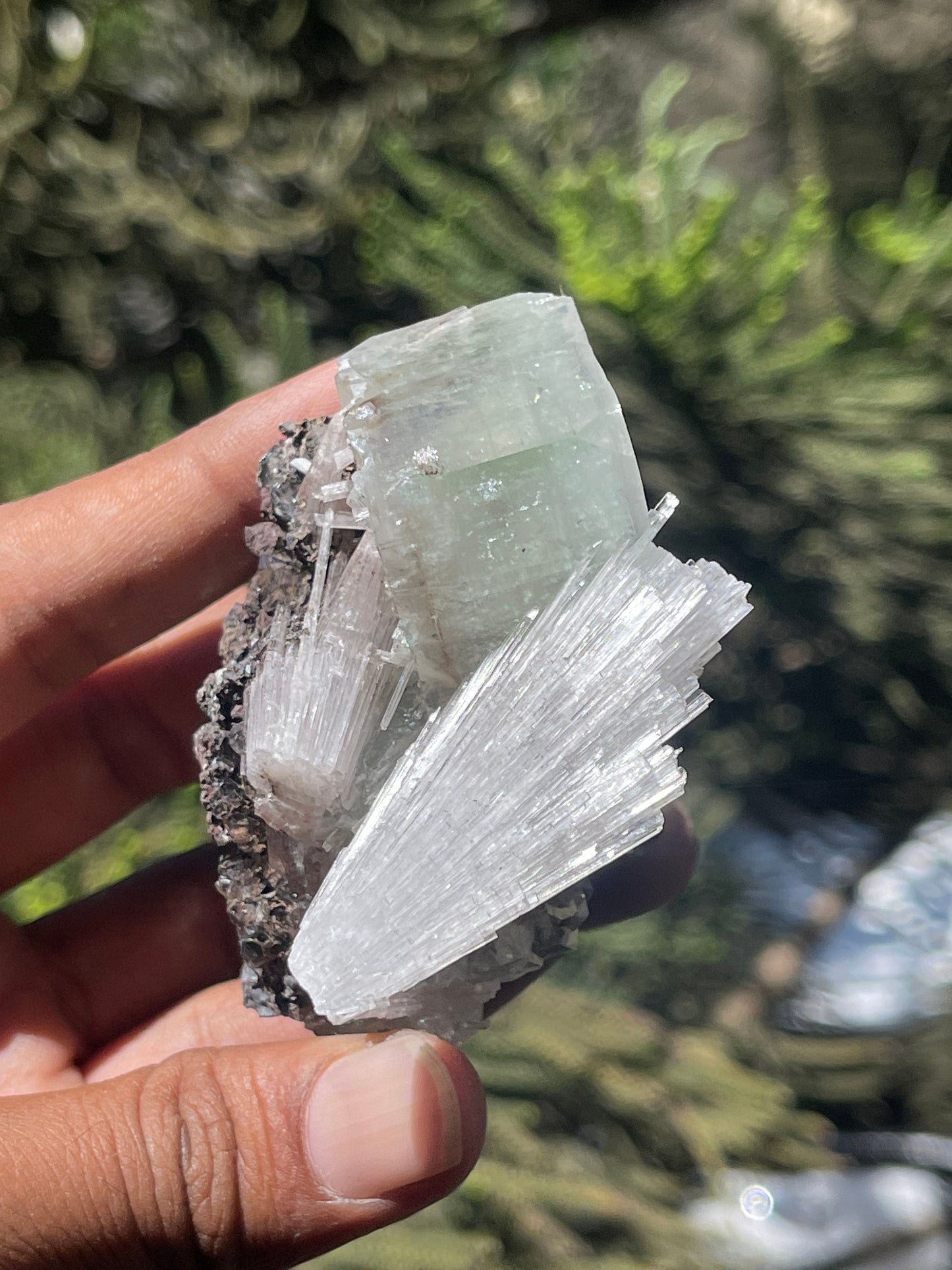 Green apophyllite cube with scolecite spray