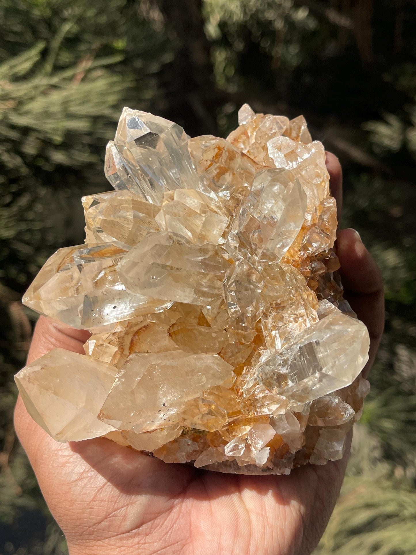 clear Himalayan cathedral crystal on matrix