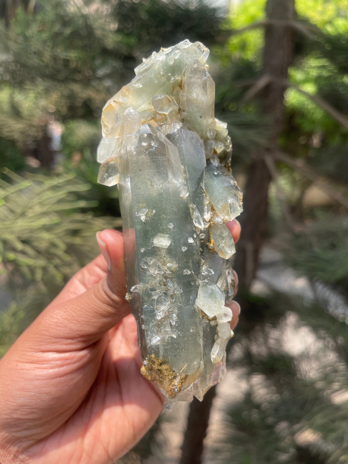 Himalayan quartz, double terminated crystal with chlorite