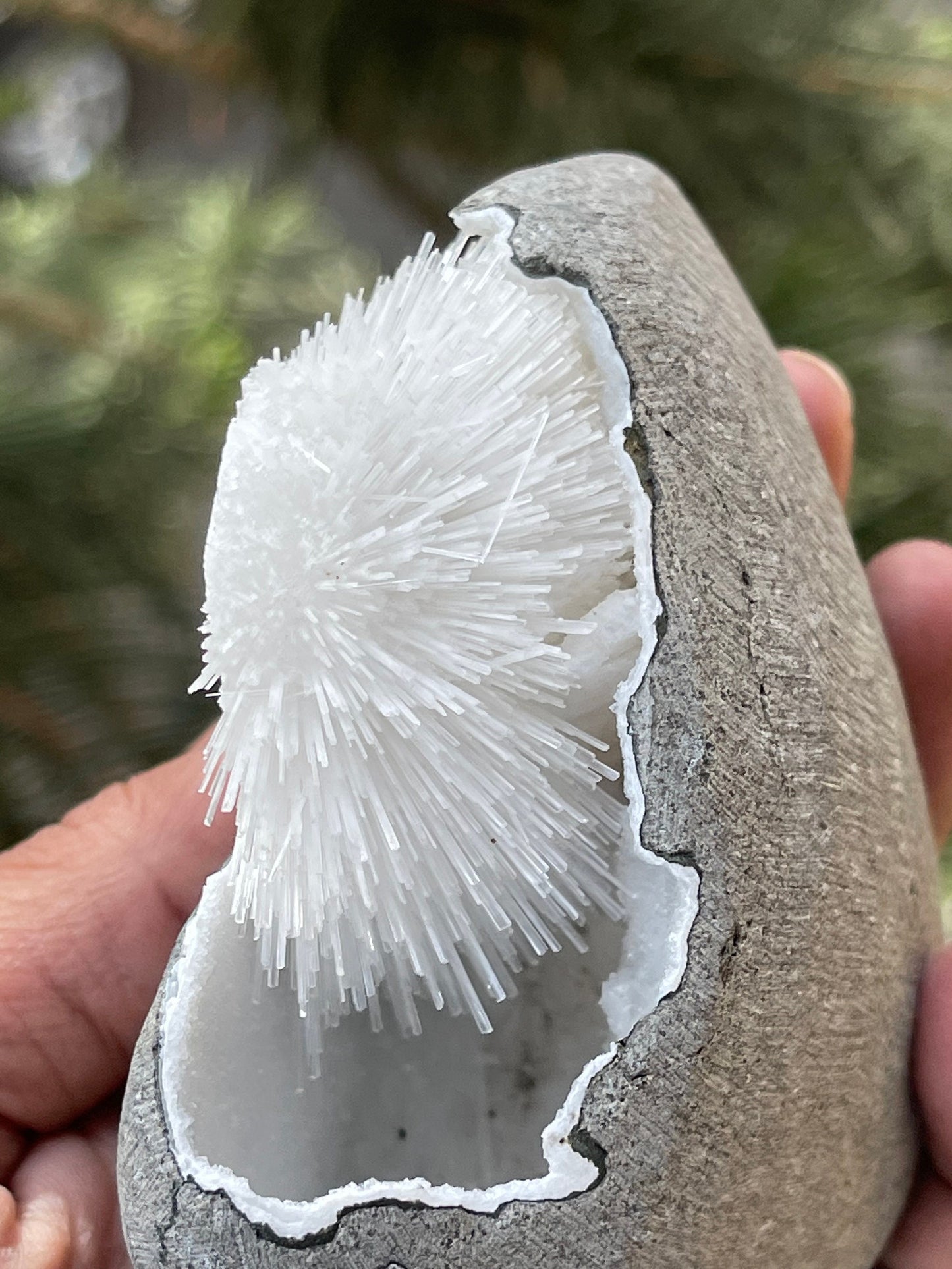 Perfect round of scolecite flowers inside quartz geode natural specimen