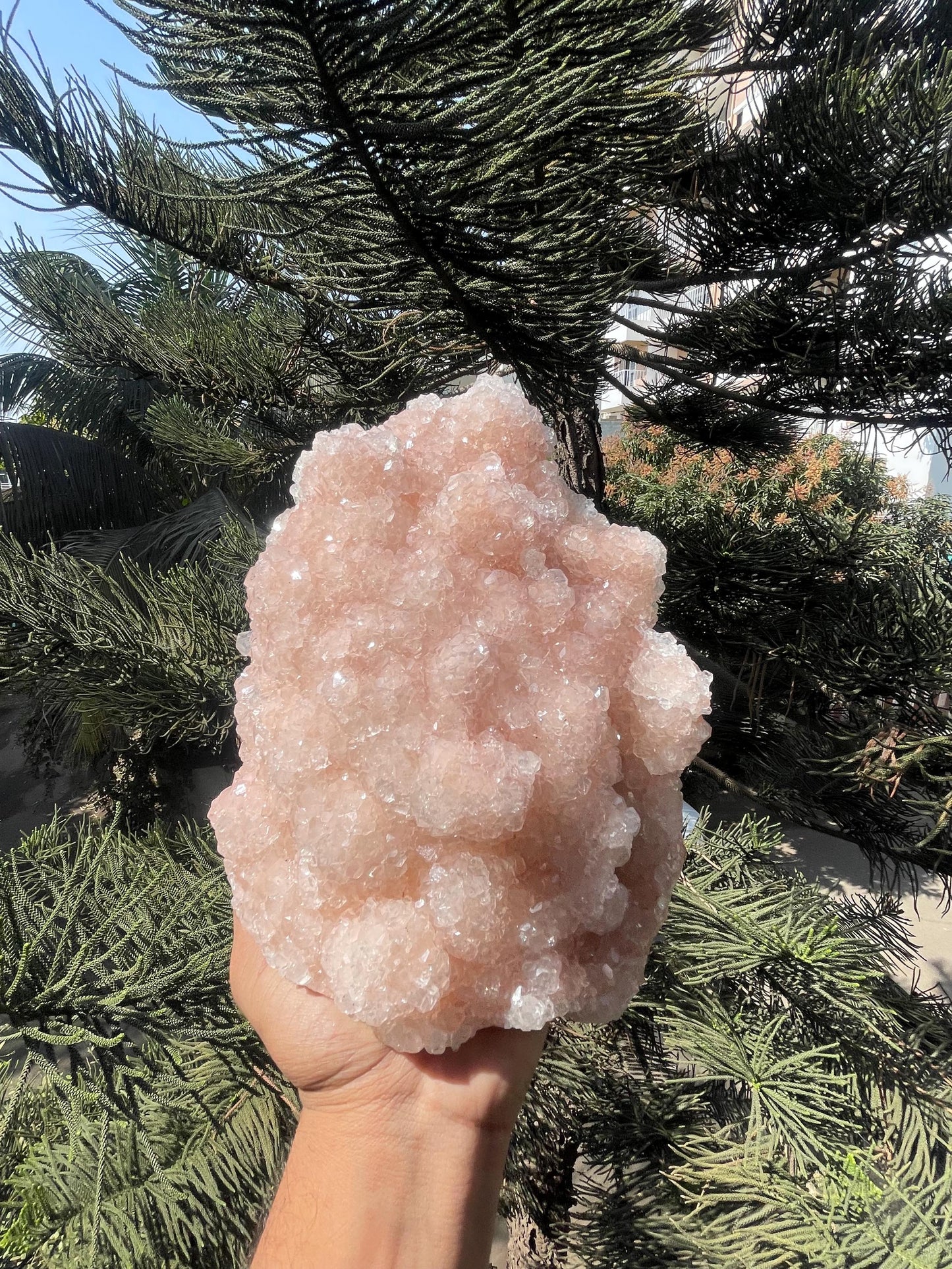 glossy pink apophyllite mineral specimen