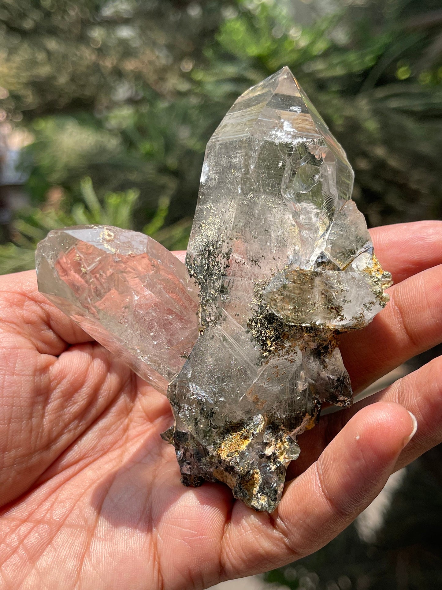 Twin Himalayan Chlorite Quartz Crystal with golden rutile