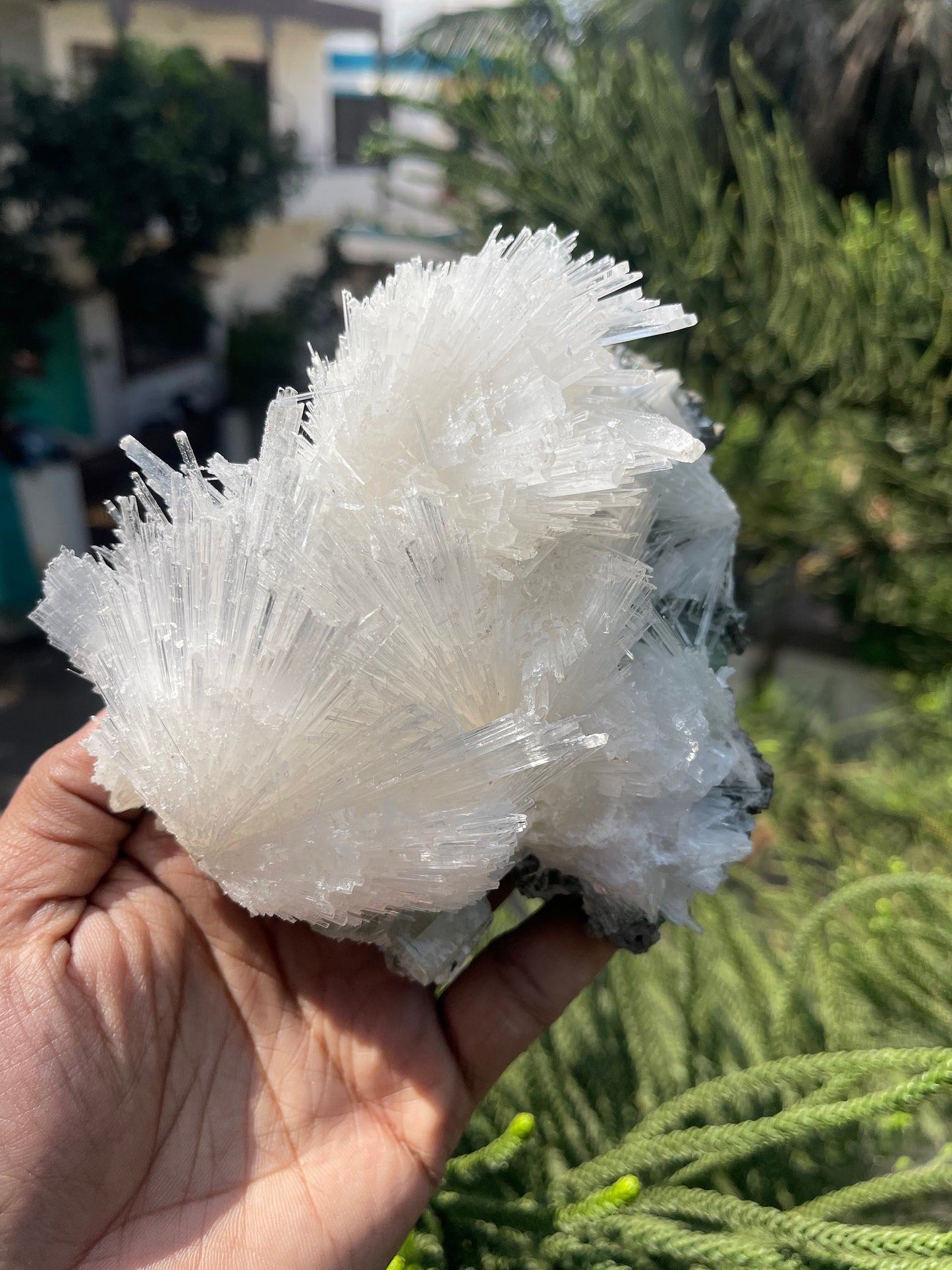 Scolecite with green apophyllite on matrix