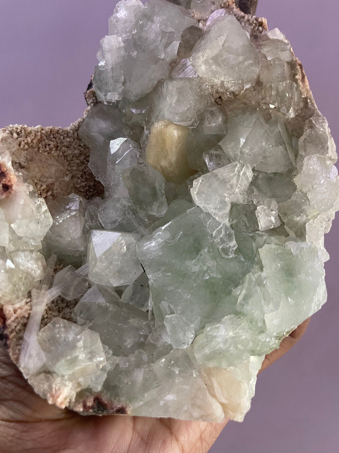 Green apophyllite with stilbite and scolecite on heulandite matrix