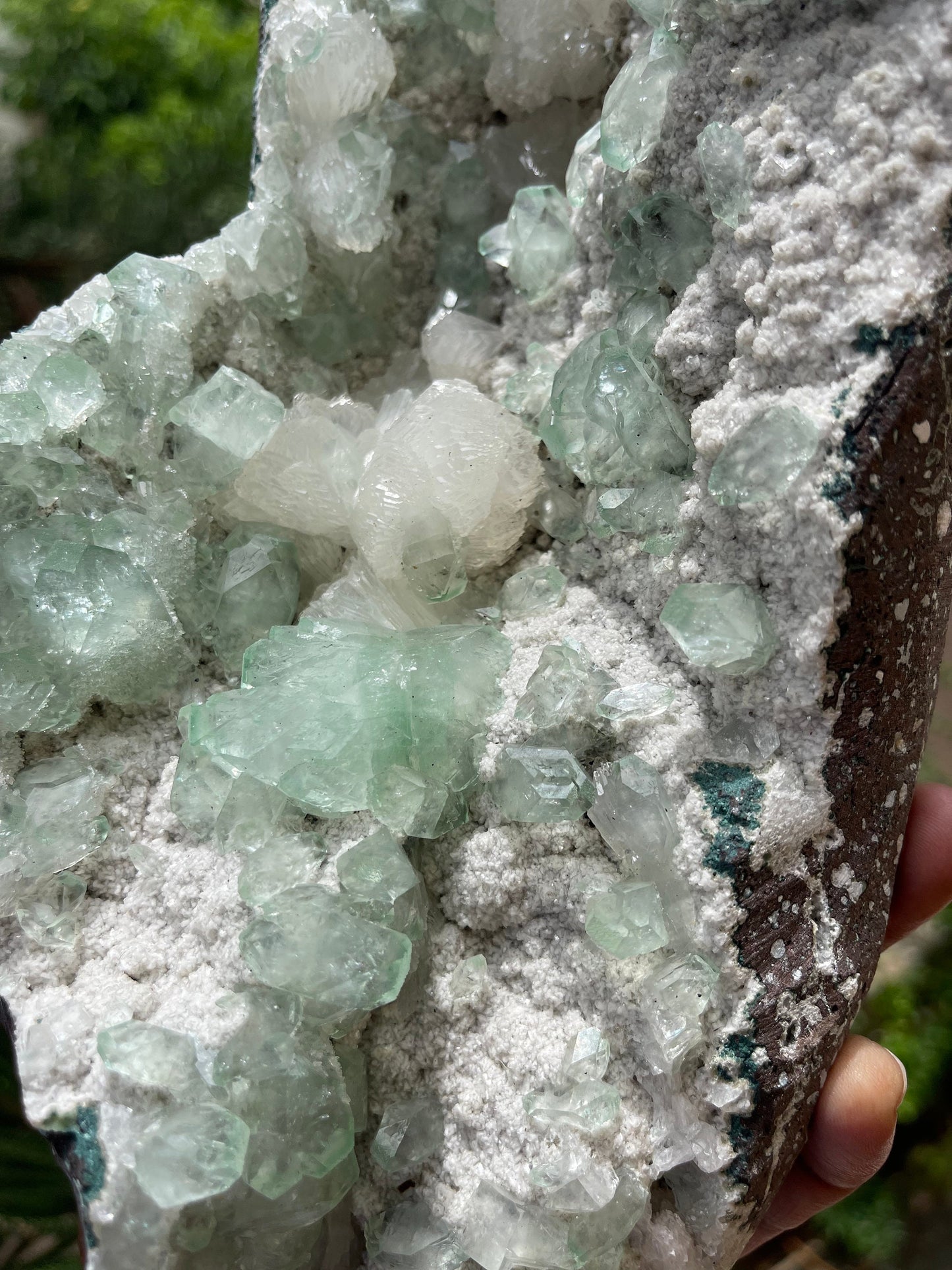 Green apophyllite crystal on white chalcedony matrix