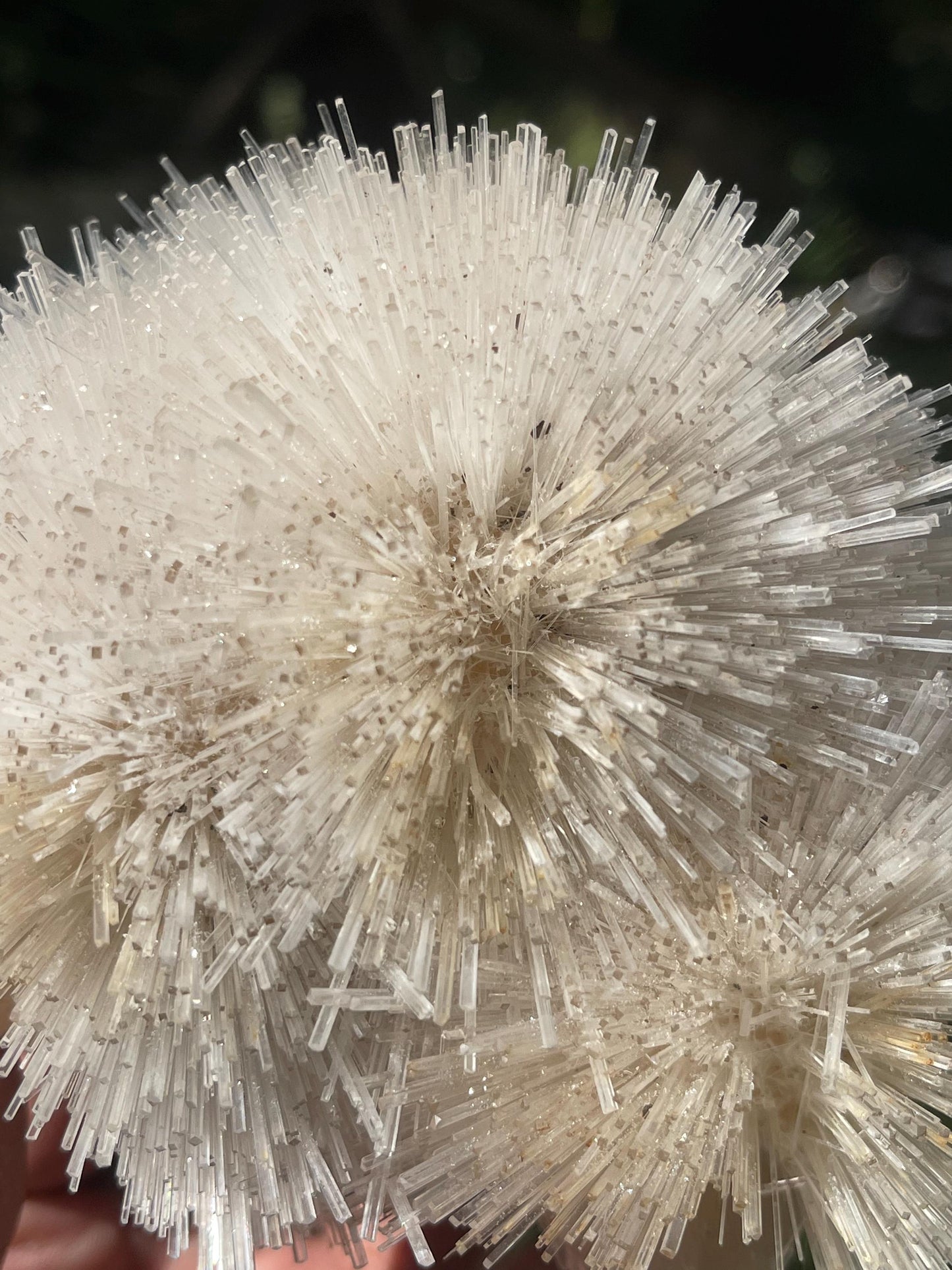 Perfect natrolite flower on stilbite