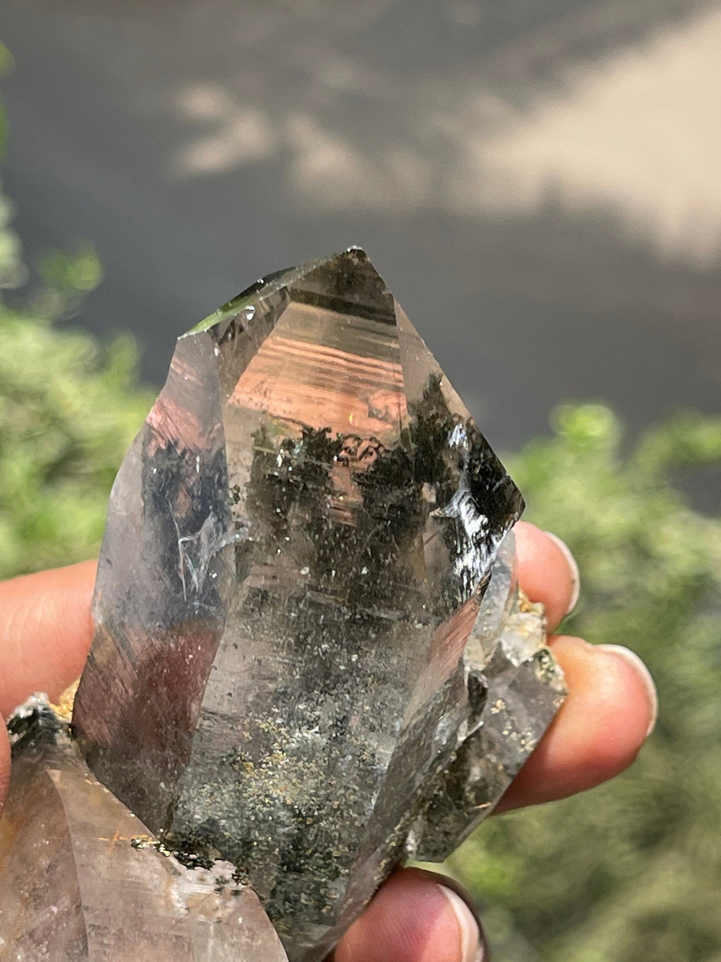 Twin Himalayan Chlorite Quartz Crystal with golden rutile