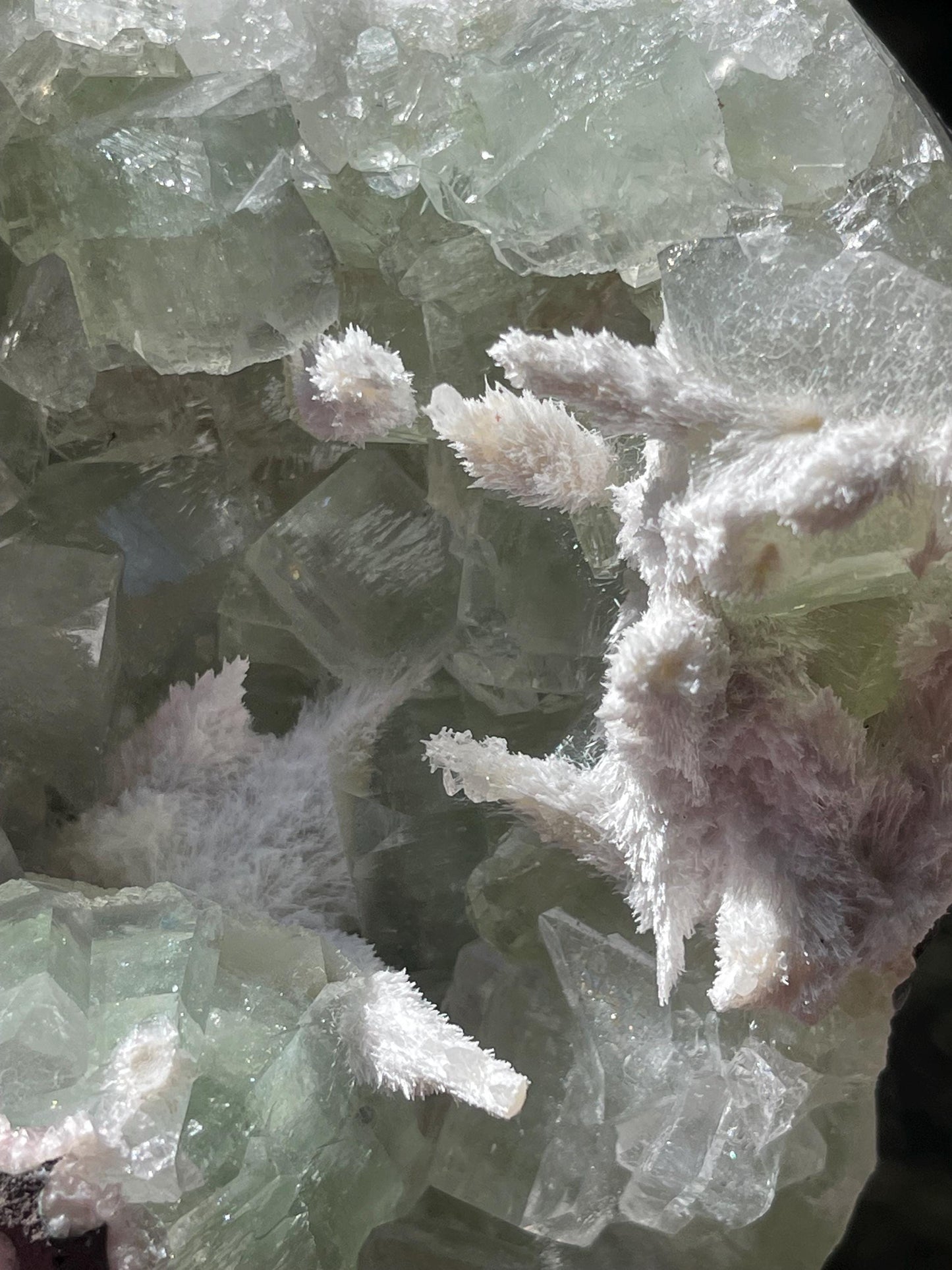 okenite mineral on green apophyllite matrix