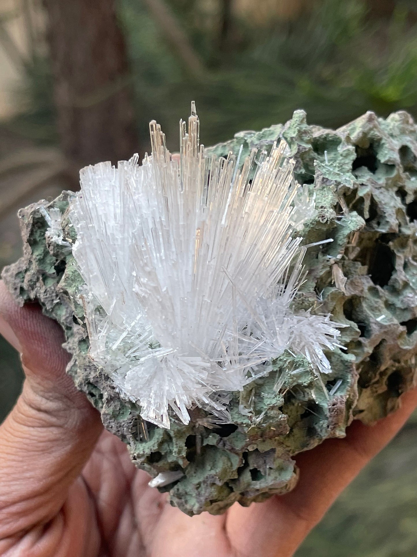 Scolecite Crystal on matrix