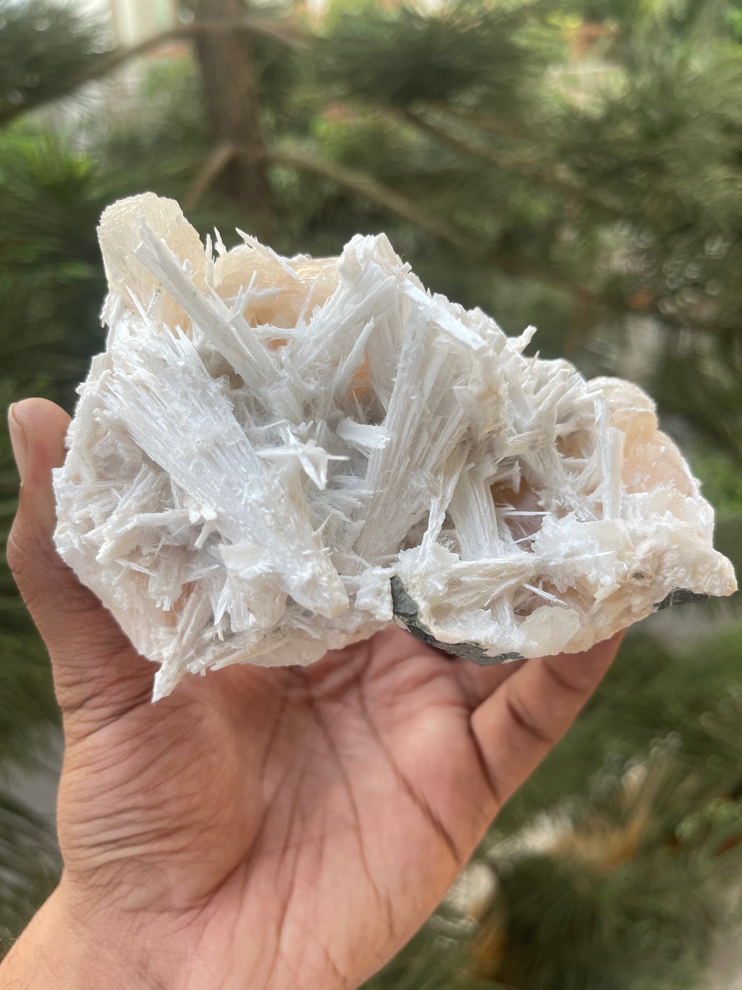 Scolecite spray on stilbite base