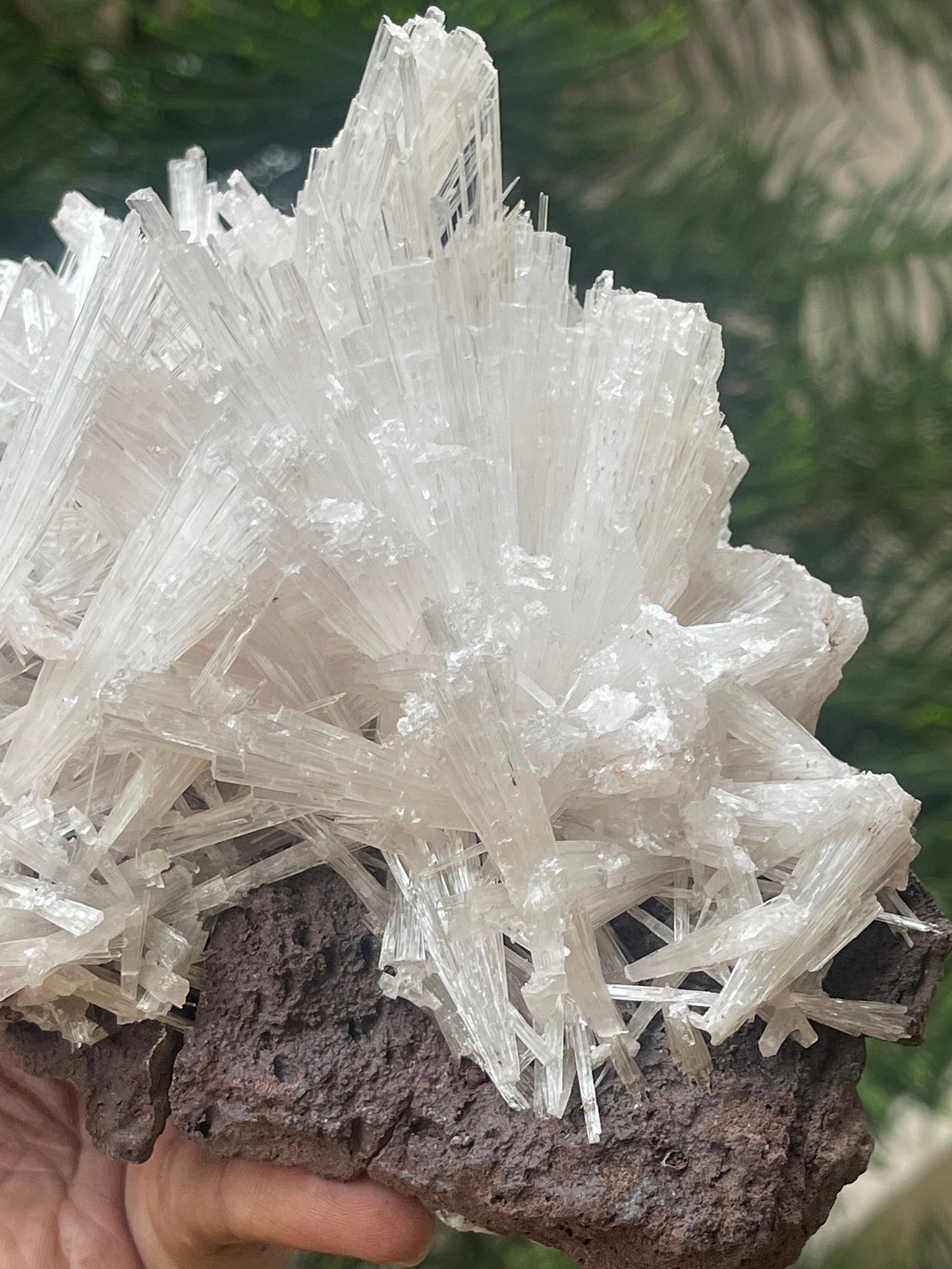 Scolecite spray on matrix with green apophyllite