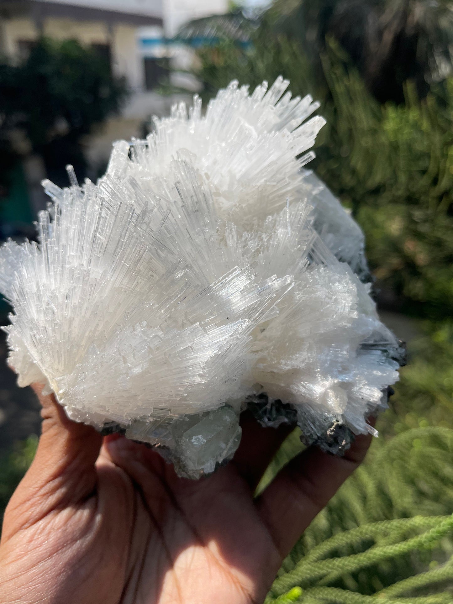Scolecite with green apophyllite on matrix