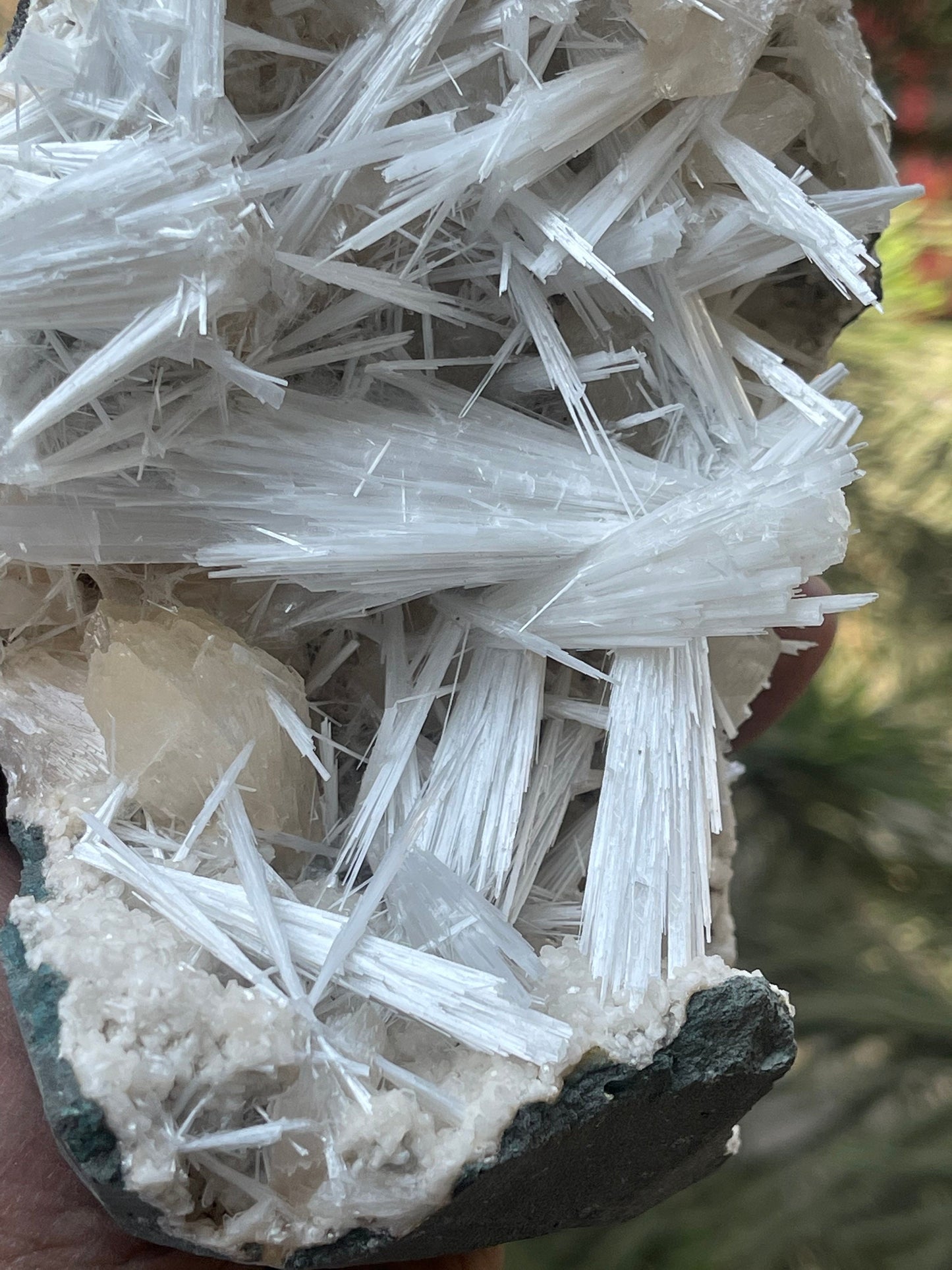 Shiney scolecite spray with stilbite/heulandite base