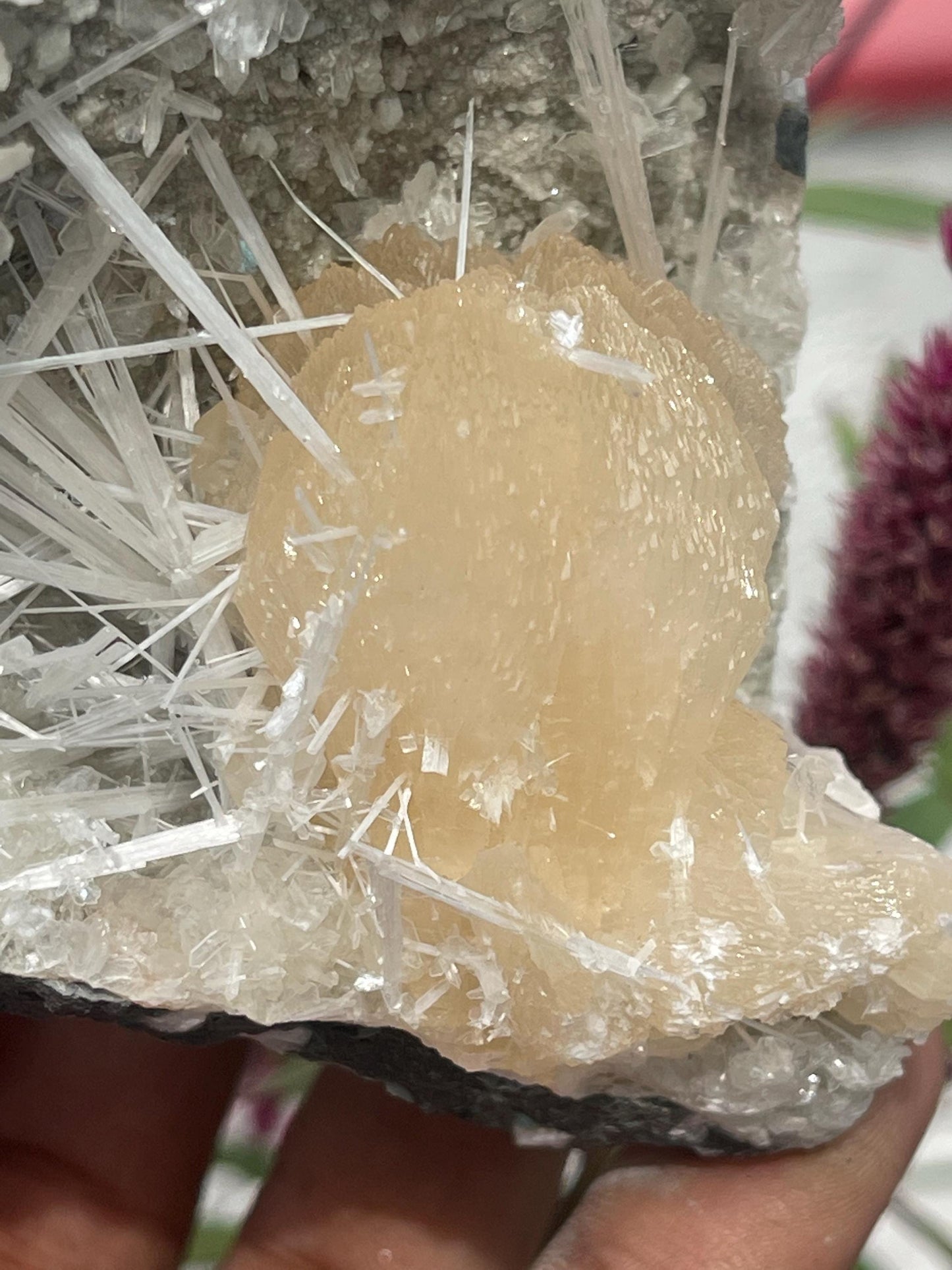 Exquisite Scolecite Sprays on Peach Stilbite with Heulandite Matrix