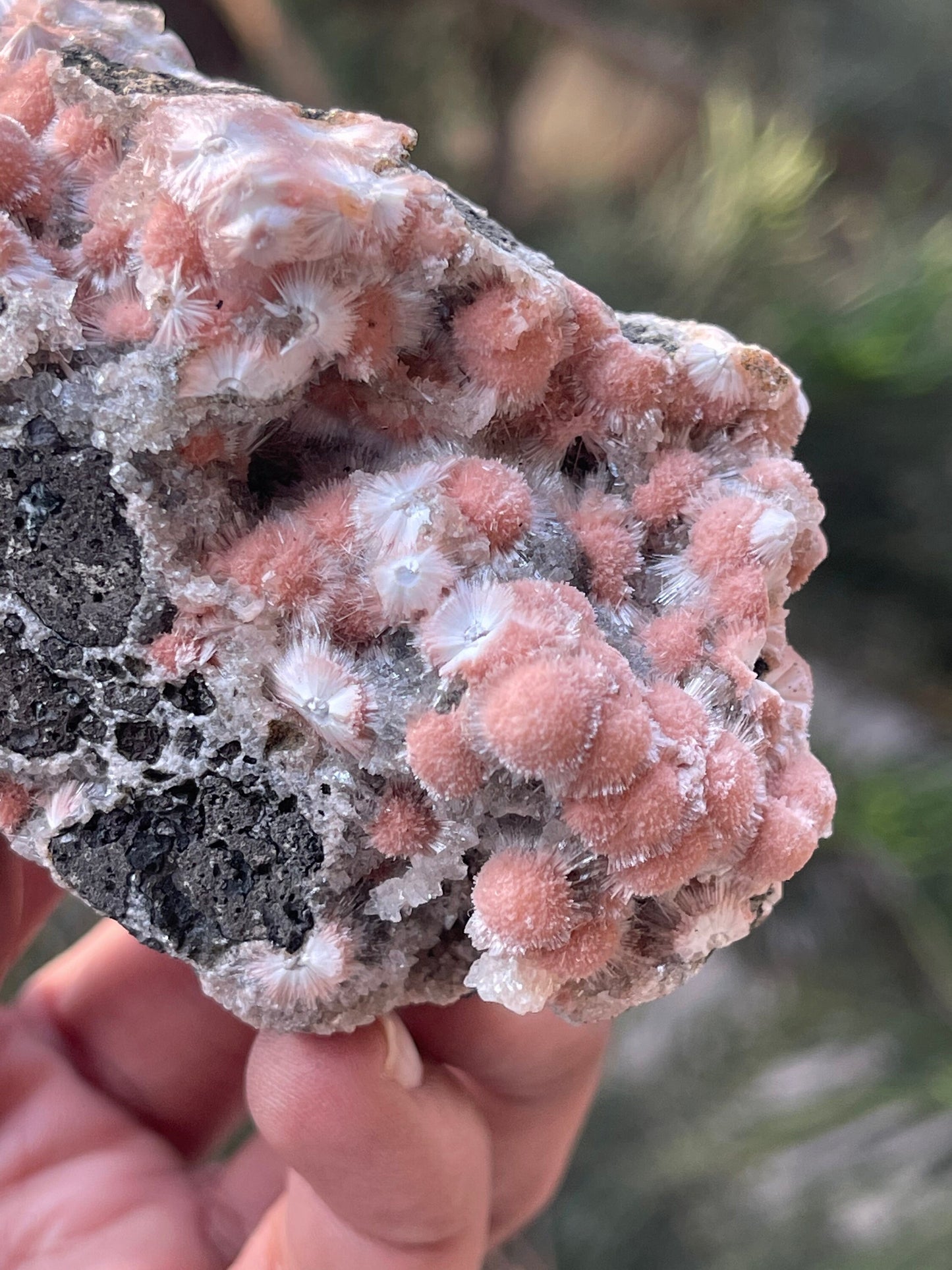 Multiple orange mesolite ball on matrix