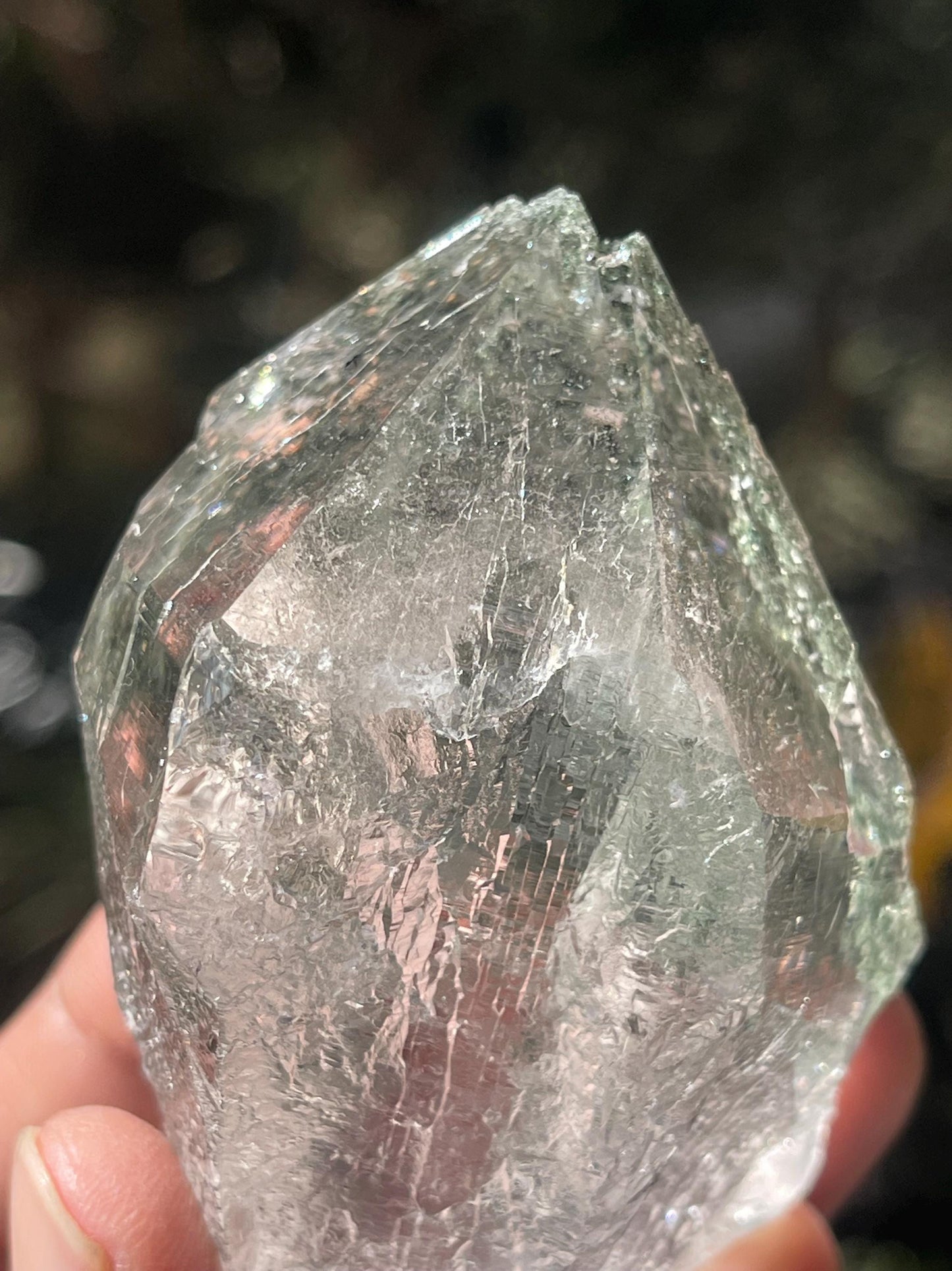 Rare Himalayan Cathedral Quartz Crystal with Green Chlorite – High-Energy Healing crystal