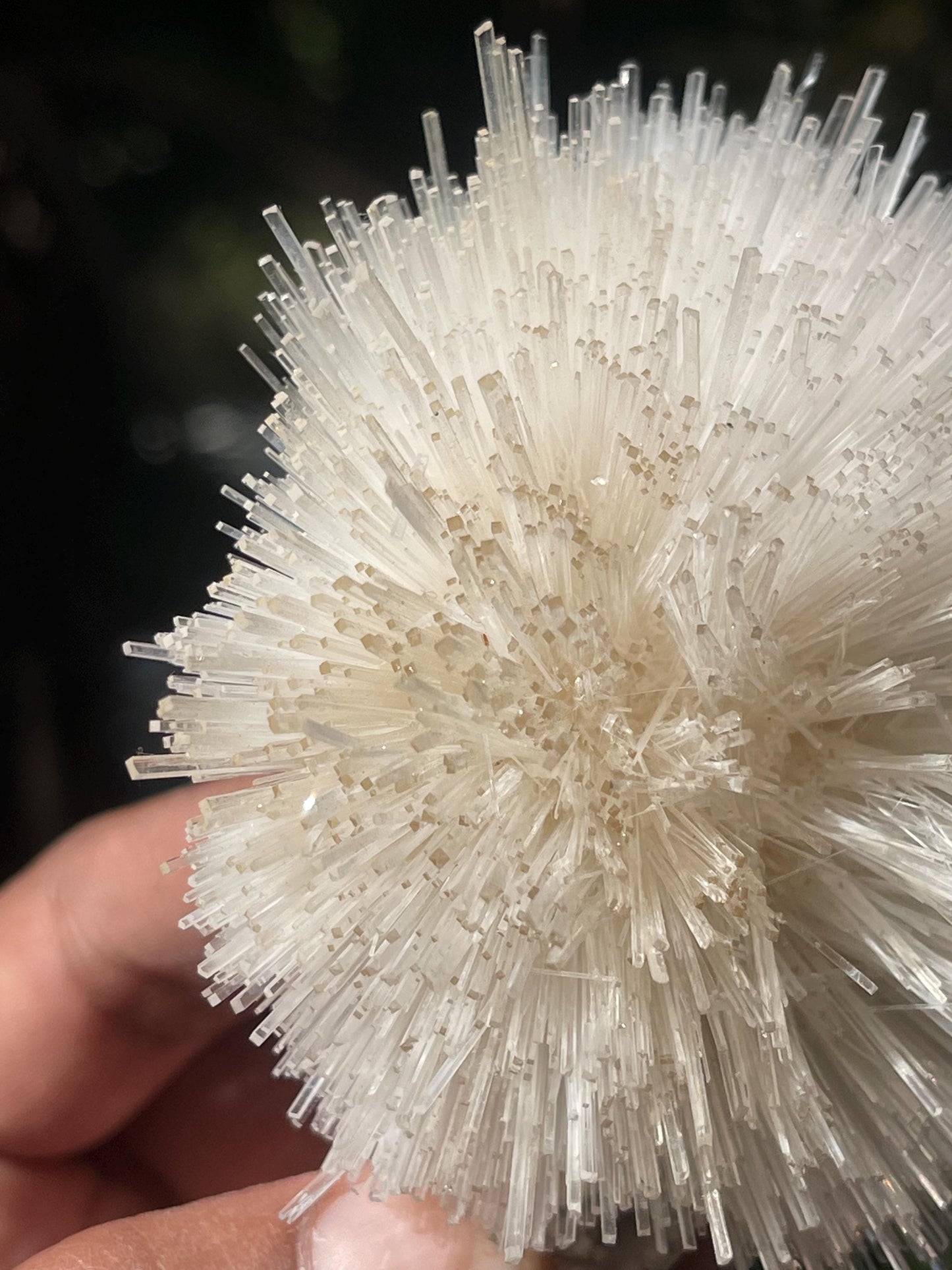 Perfect round of natrolite flowers on white chalcedony matrix