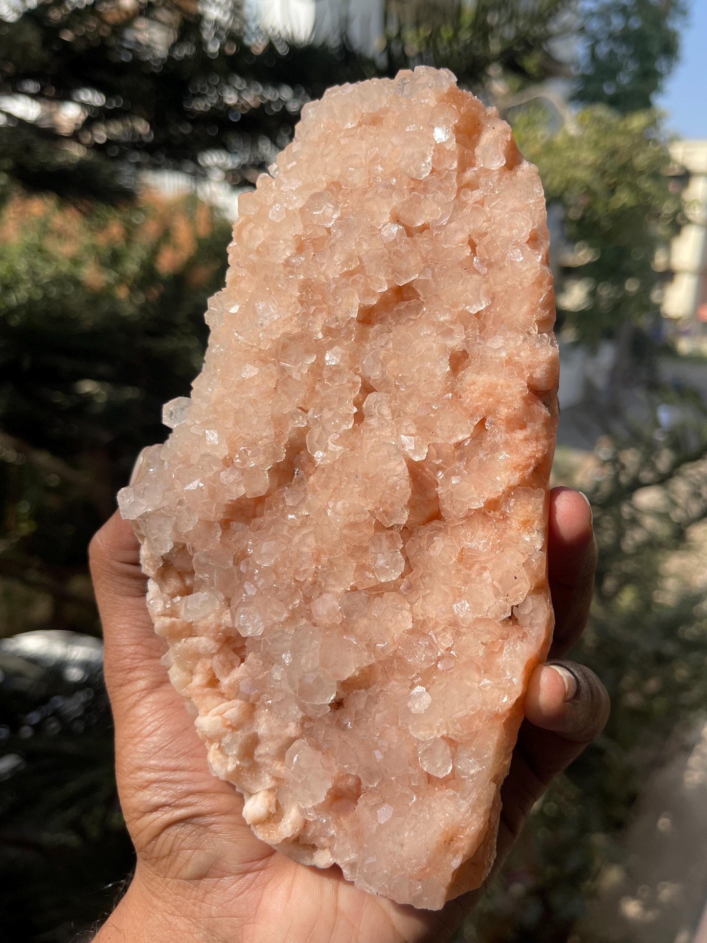 Glossy Pink Apophyllite Crystal – Stunning Natural Mineral Specimen
