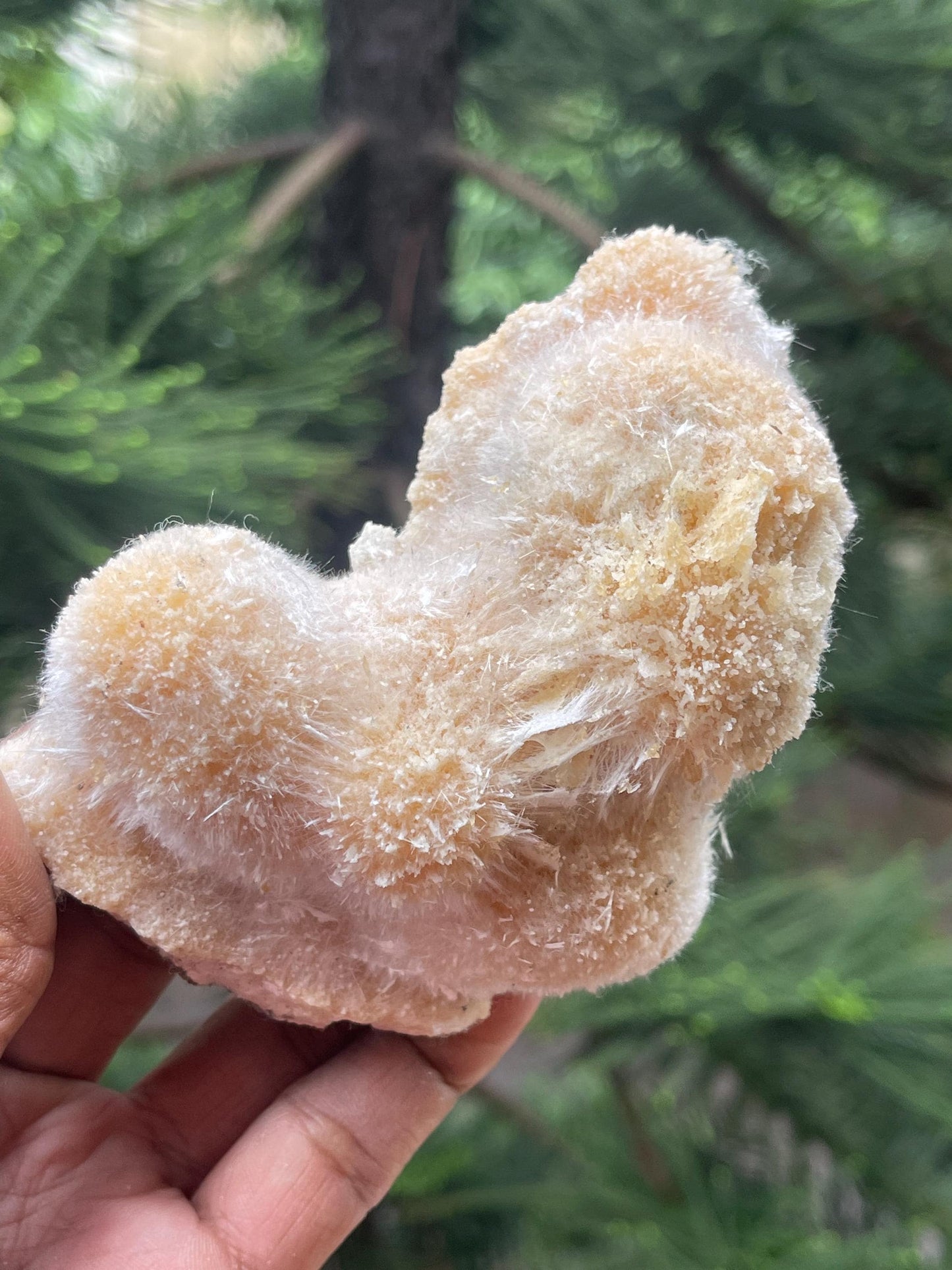 Golden thomsonite ball on matrix new find