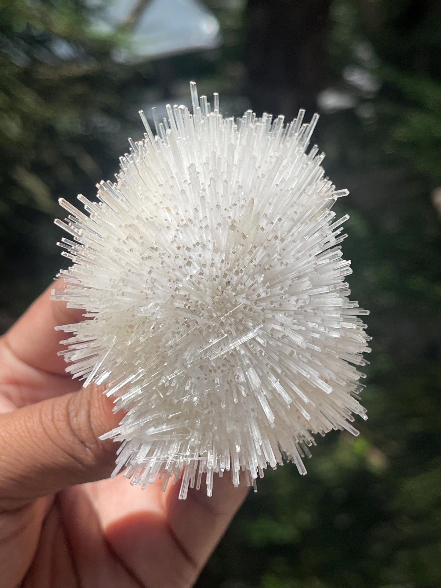 Perfect Natrolite flower