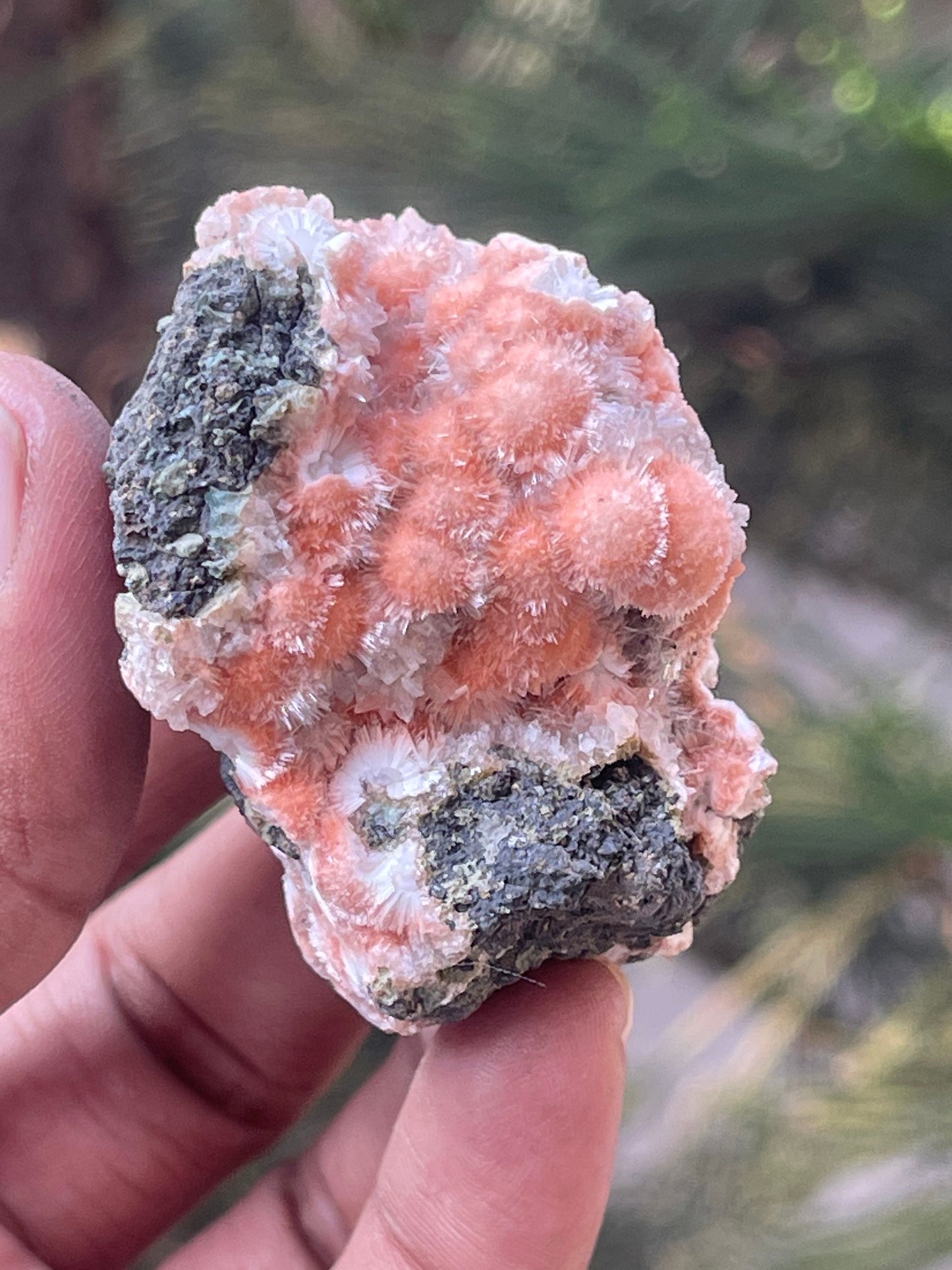 Orange mesolite