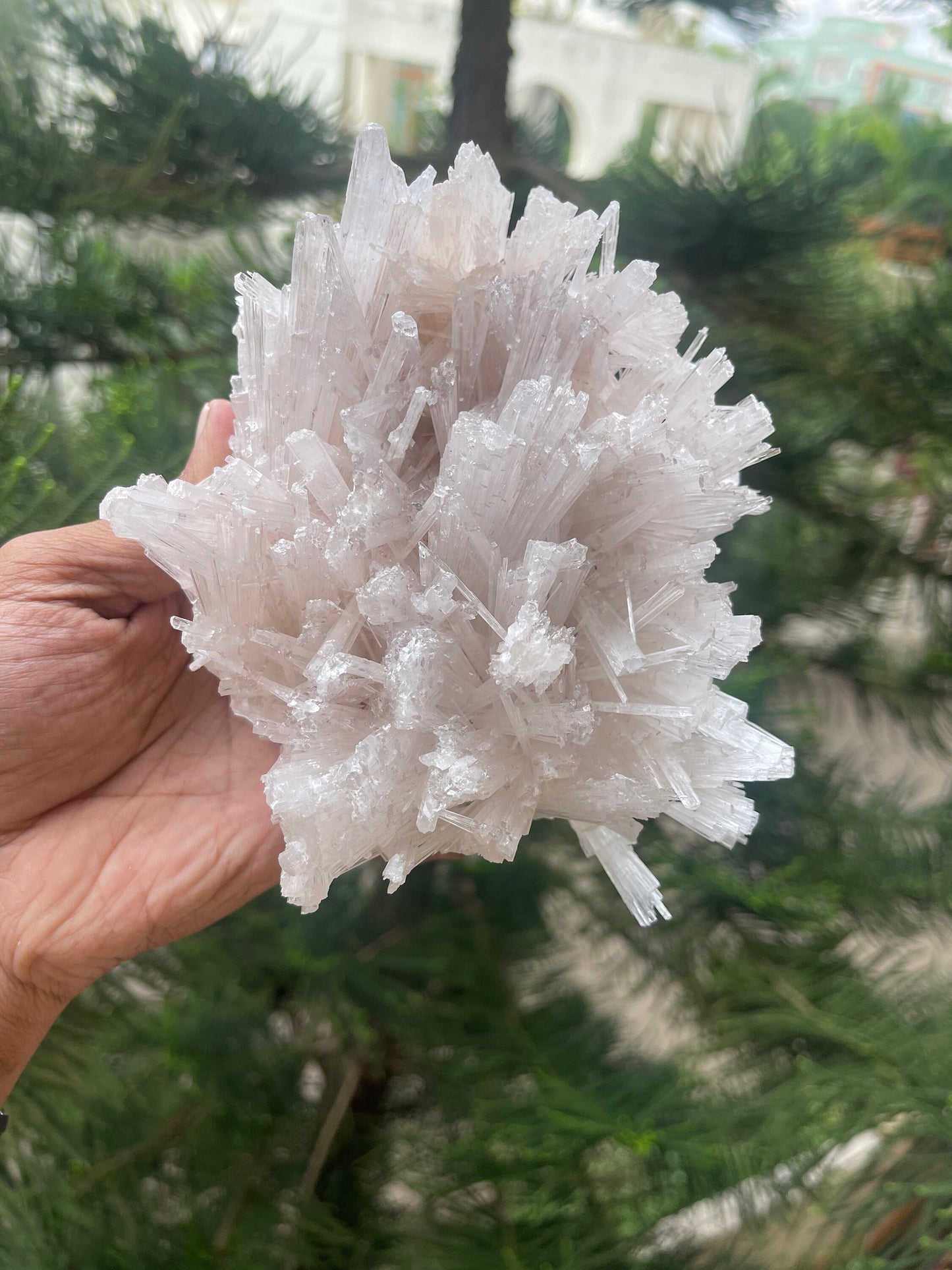 Scolecite flower
