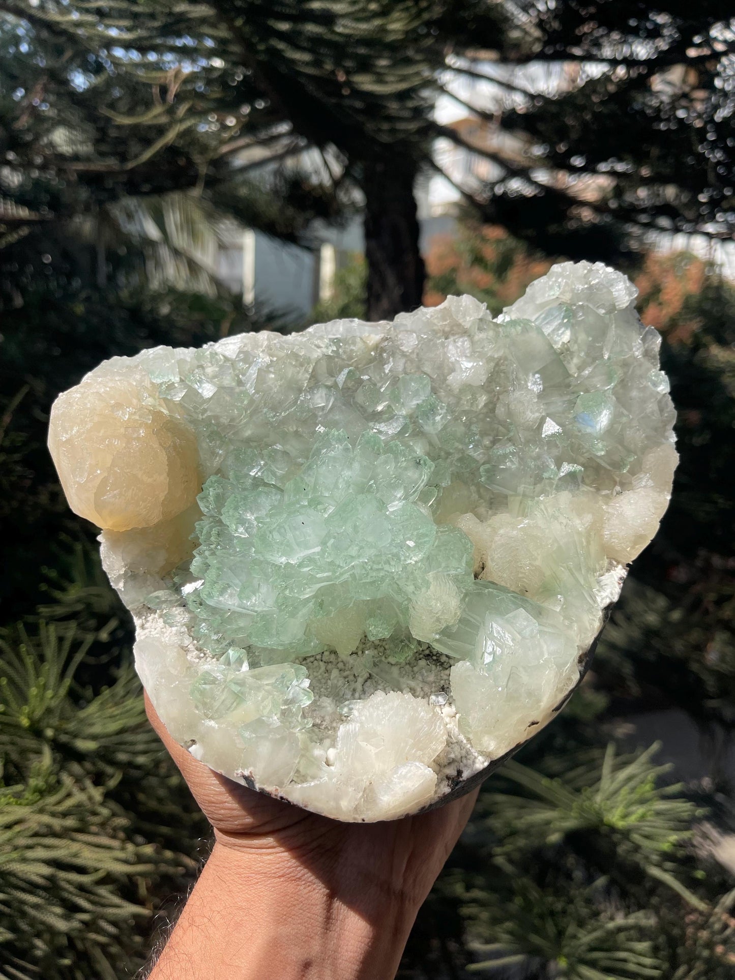 light green apophyllite flower with stilbite