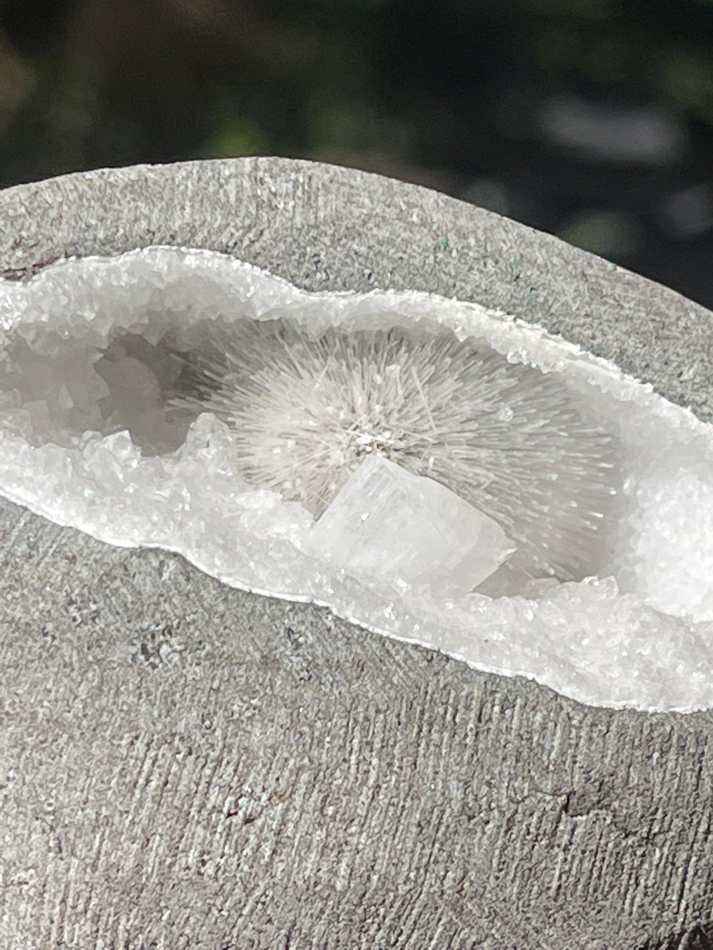 Scolecite flower inside Mm quartz geode