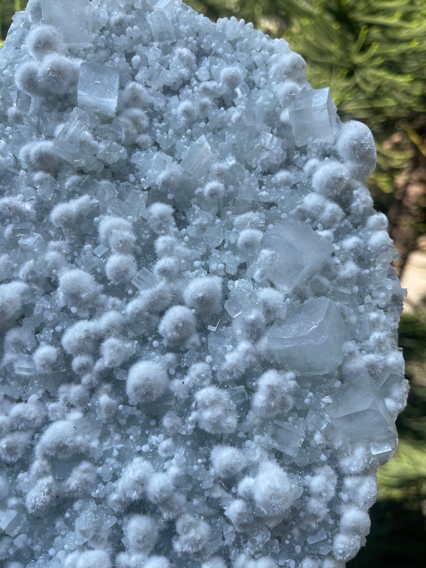Multiple okenite balls with apophyllite crystal natural specimen