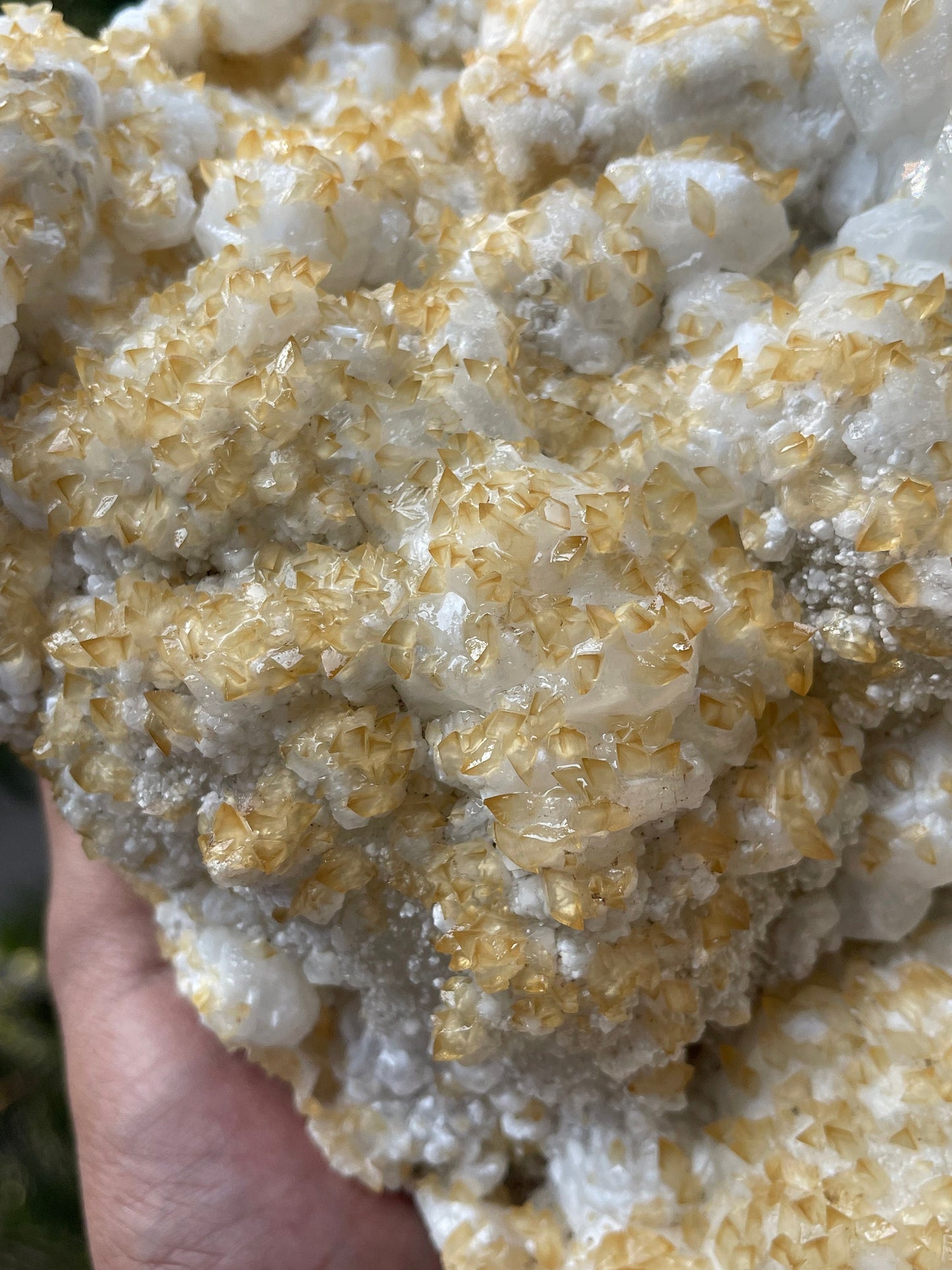Multiple golden calcite on white apophyllite
