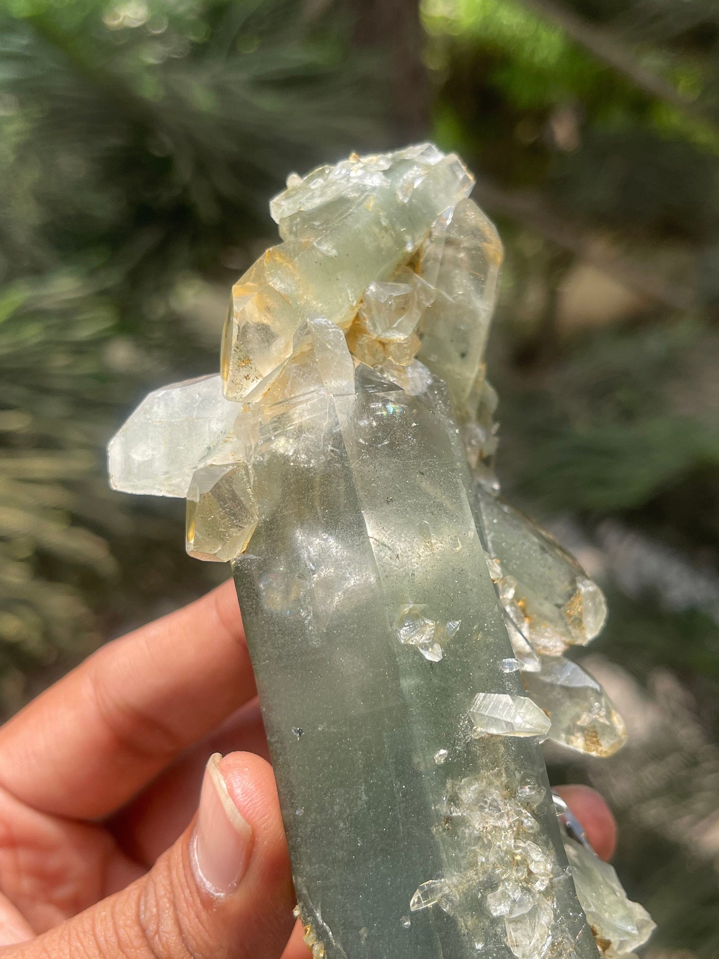 Himalayan quartz, double terminated crystal with chlorite