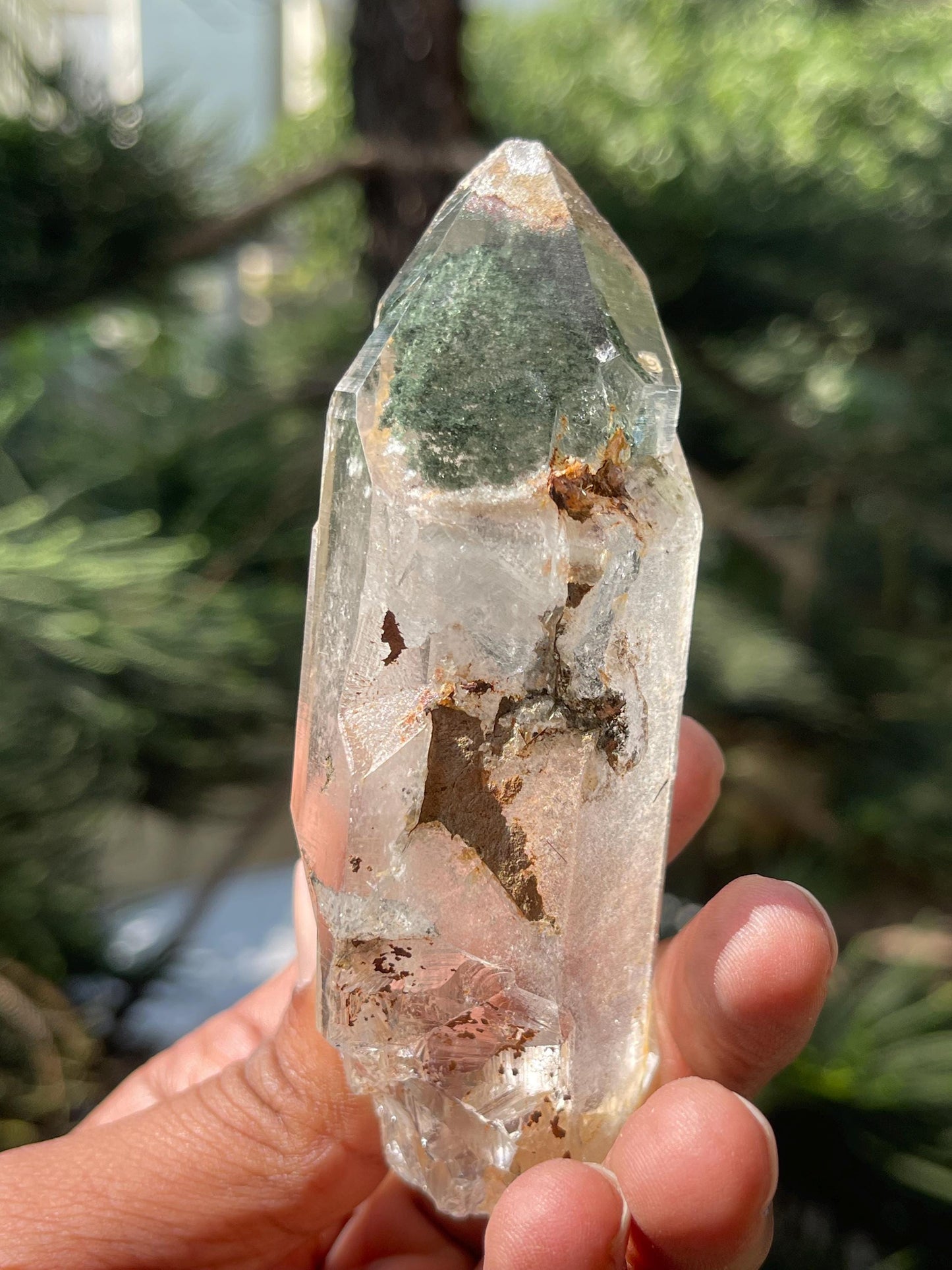 Himalayan Natural Green Chlorite Quartz Crystal/ Clear Meditation Collection