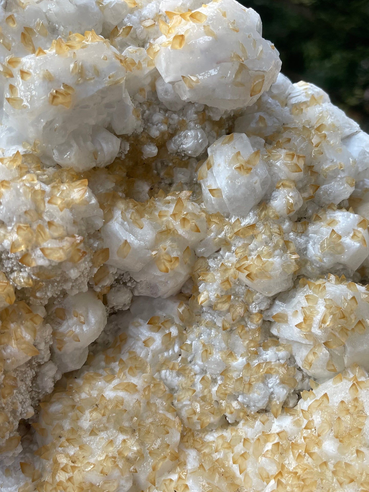Multiple golden calcite on white apophyllite