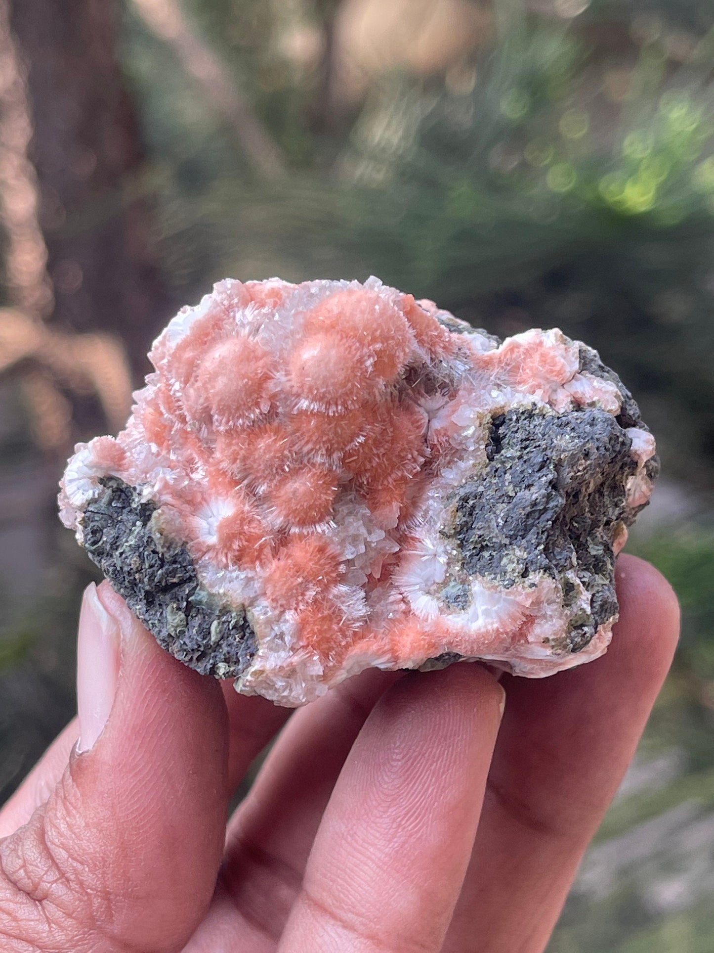 Orange mesolite